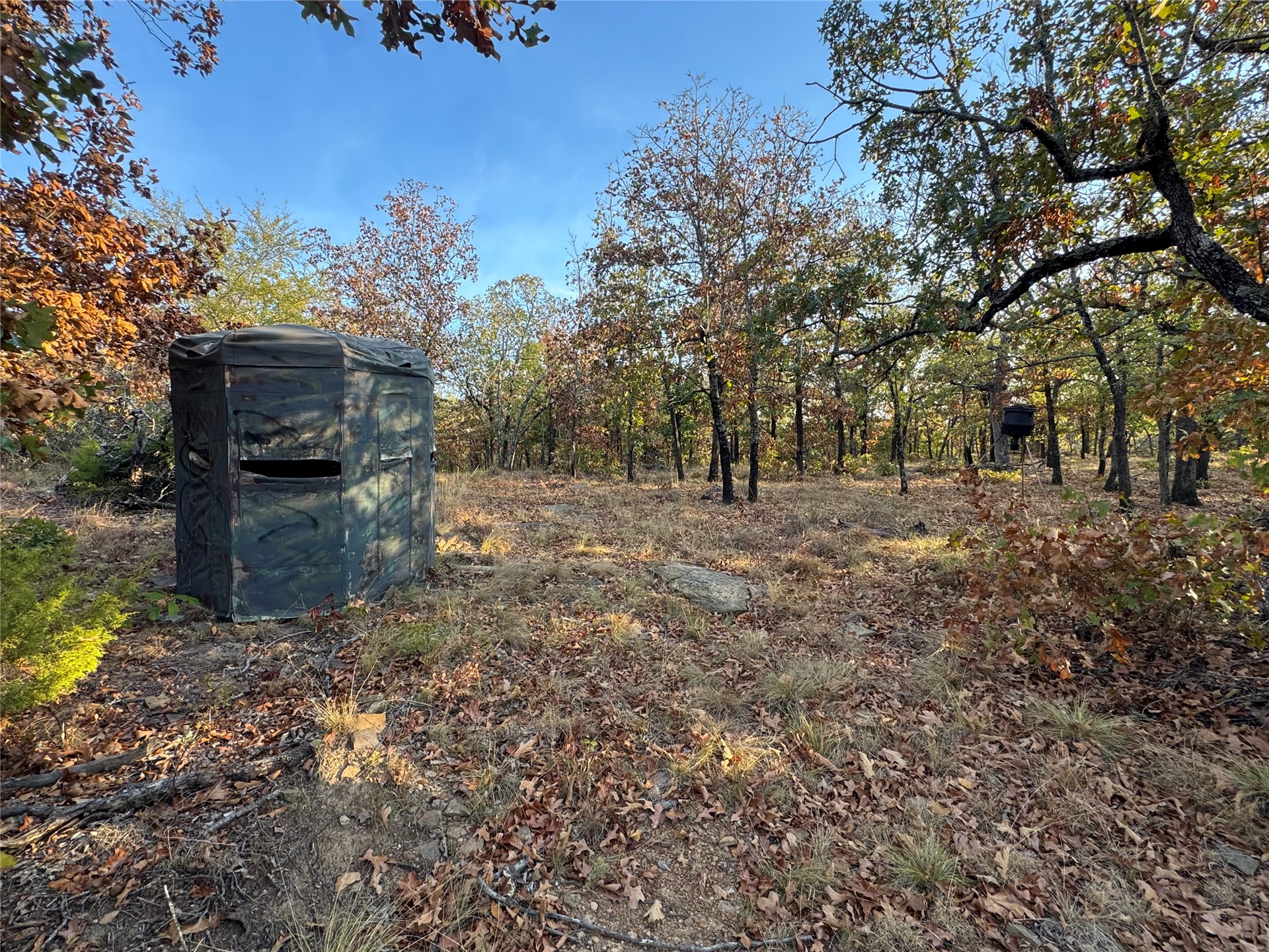 0 Shuman Property Photo 12