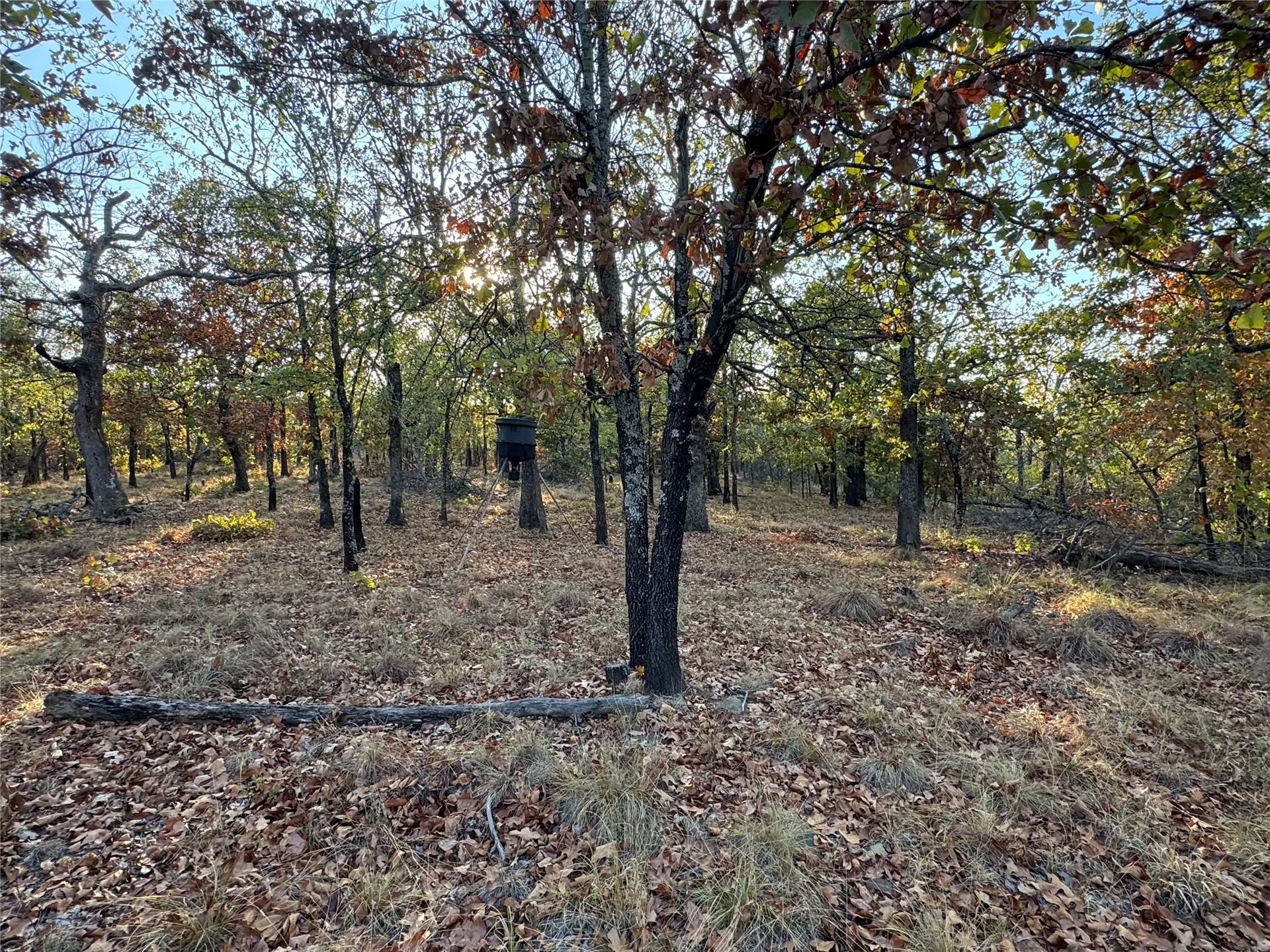 0 Shuman Property Photo 13