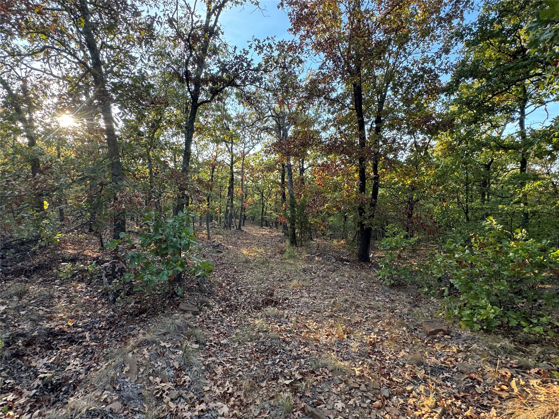 0 Shuman Property Photo 14