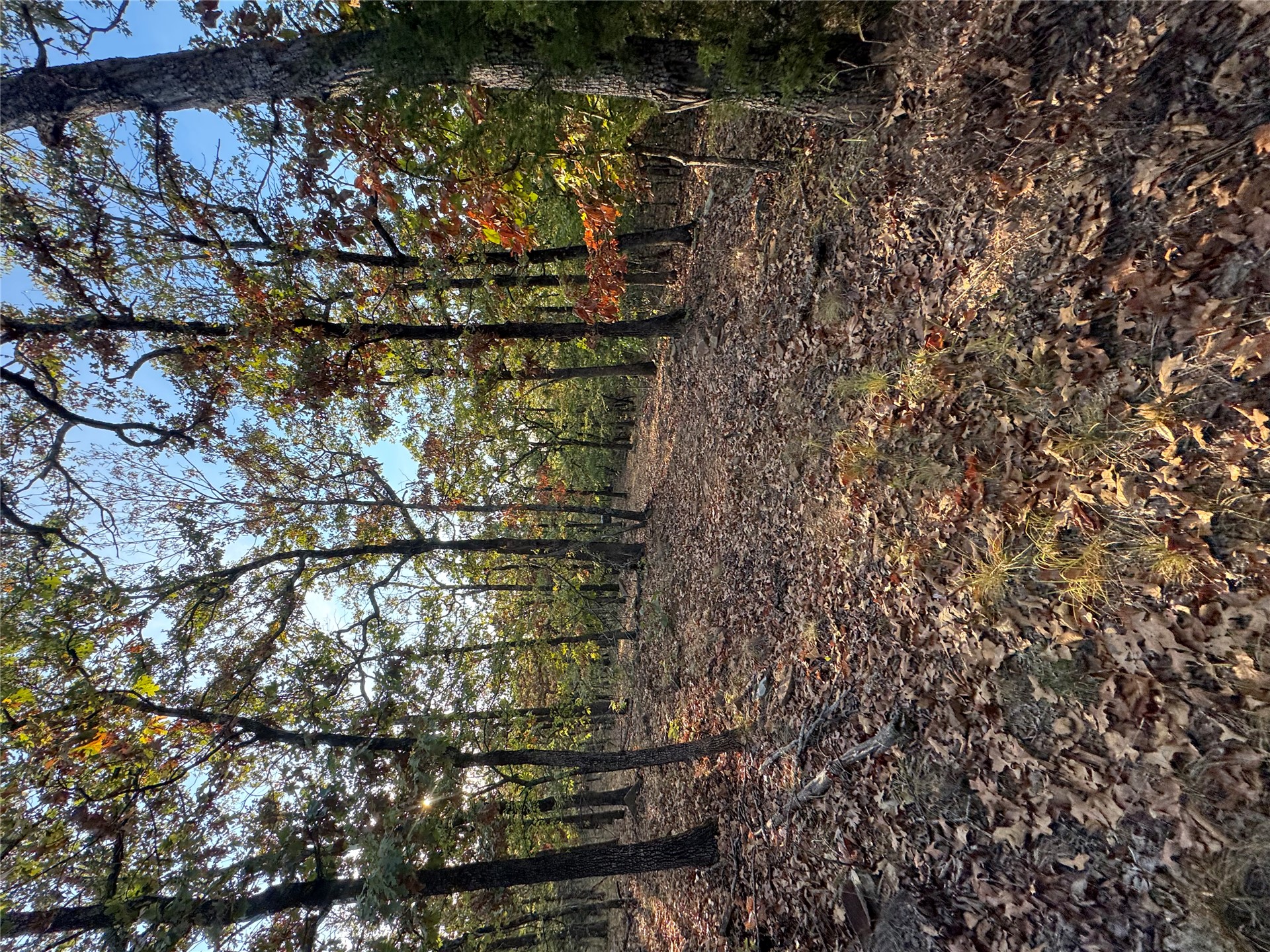 0 Shuman Property Photo 15