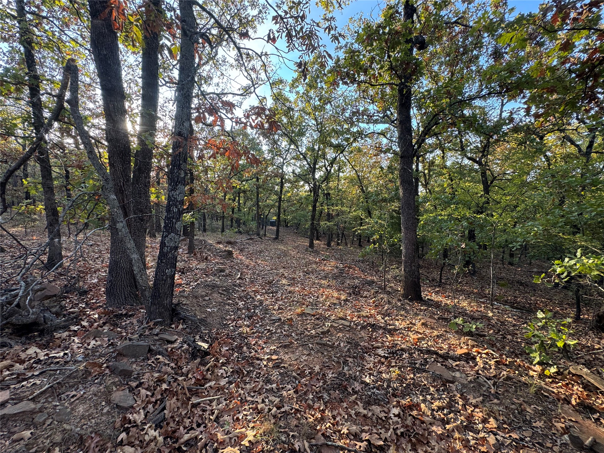 0 Shuman Property Photo 16