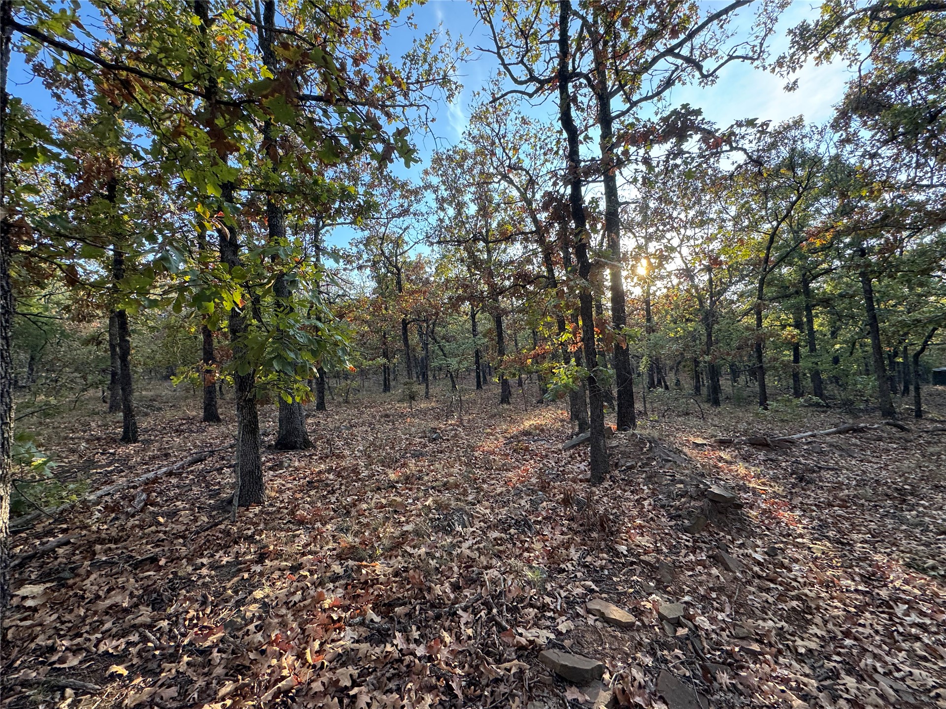 0 Shuman Property Photo 17