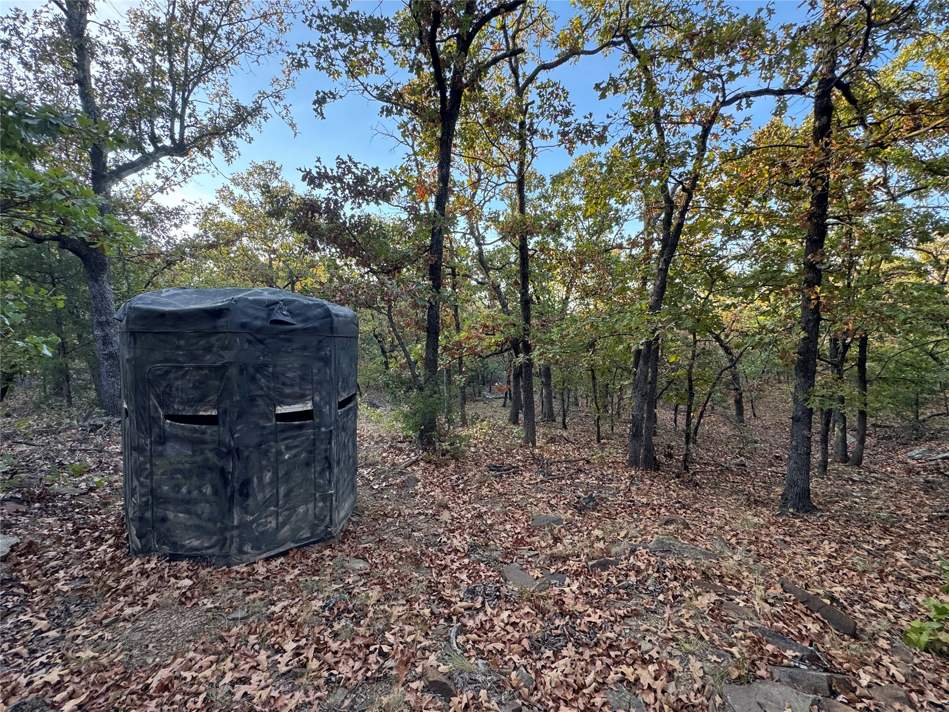 0 Shuman Property Photo 18