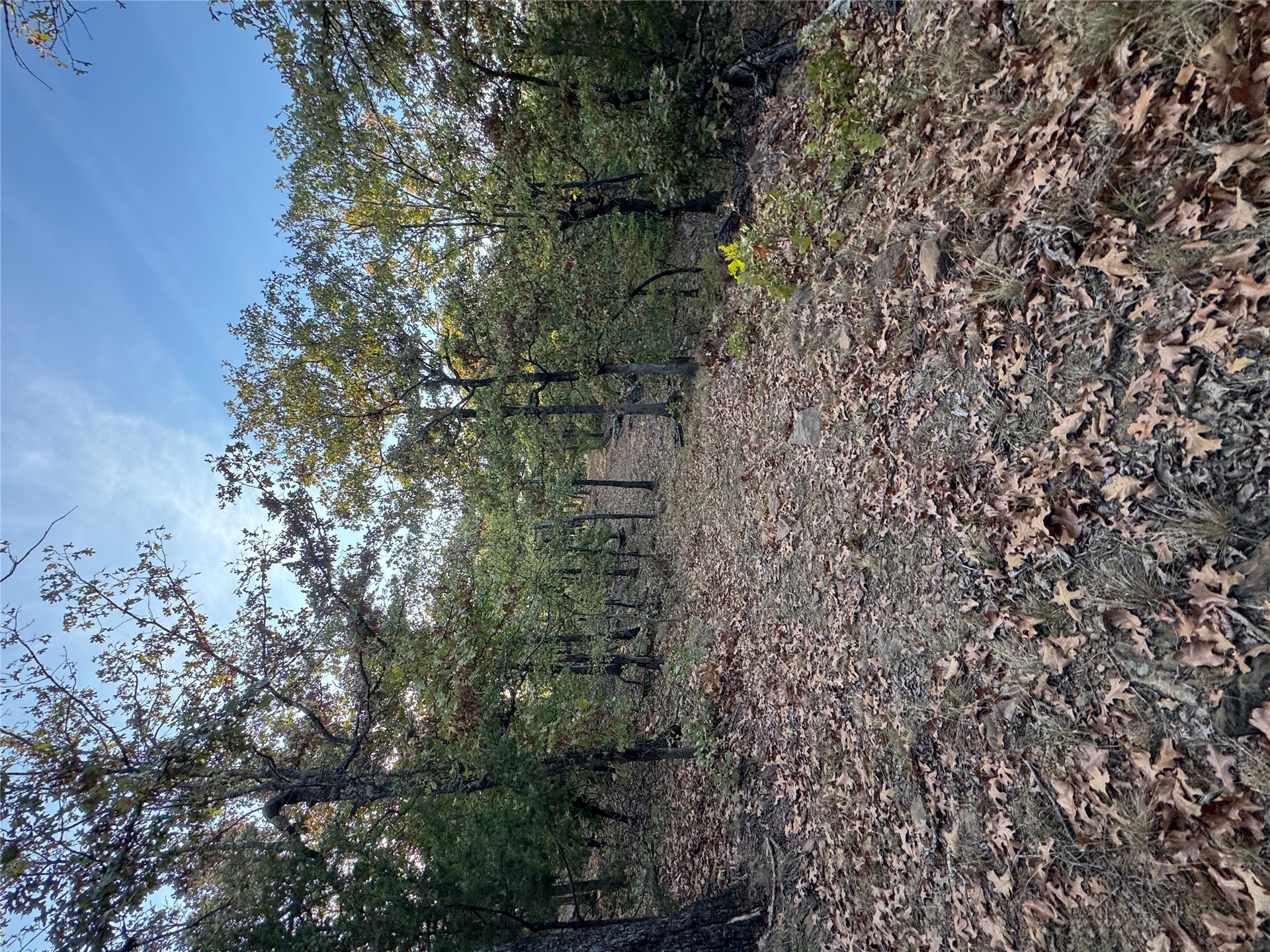 0 Shuman Property Photo 19