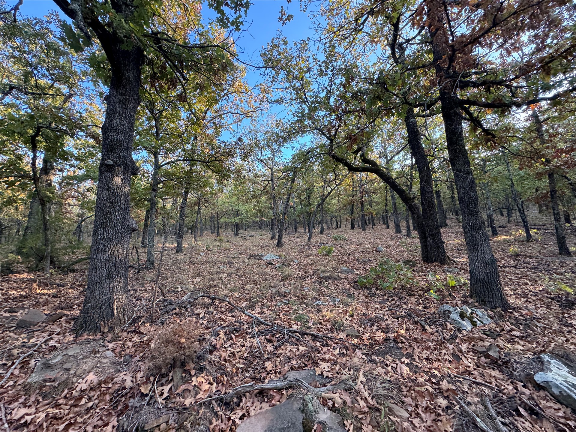 0 Shuman Property Photo 20