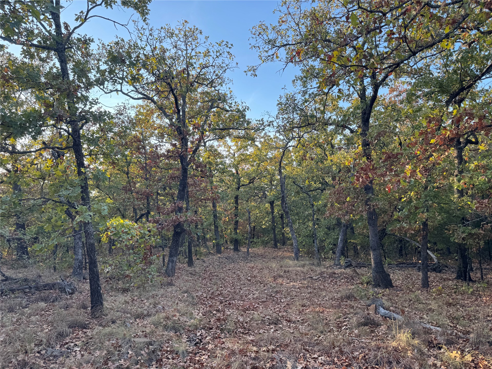 0 Shuman Property Photo 21