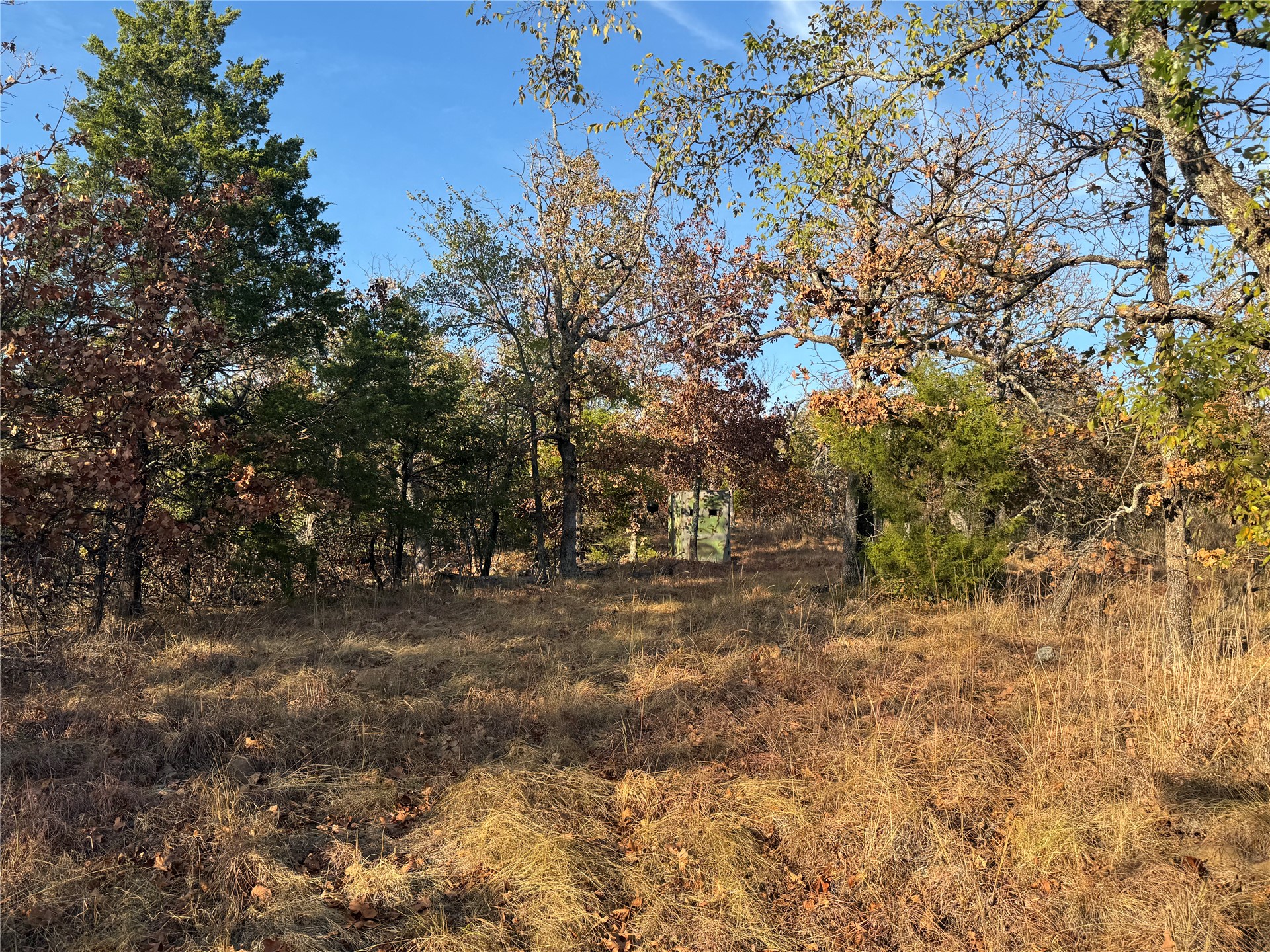 0 Shuman Property Photo 23