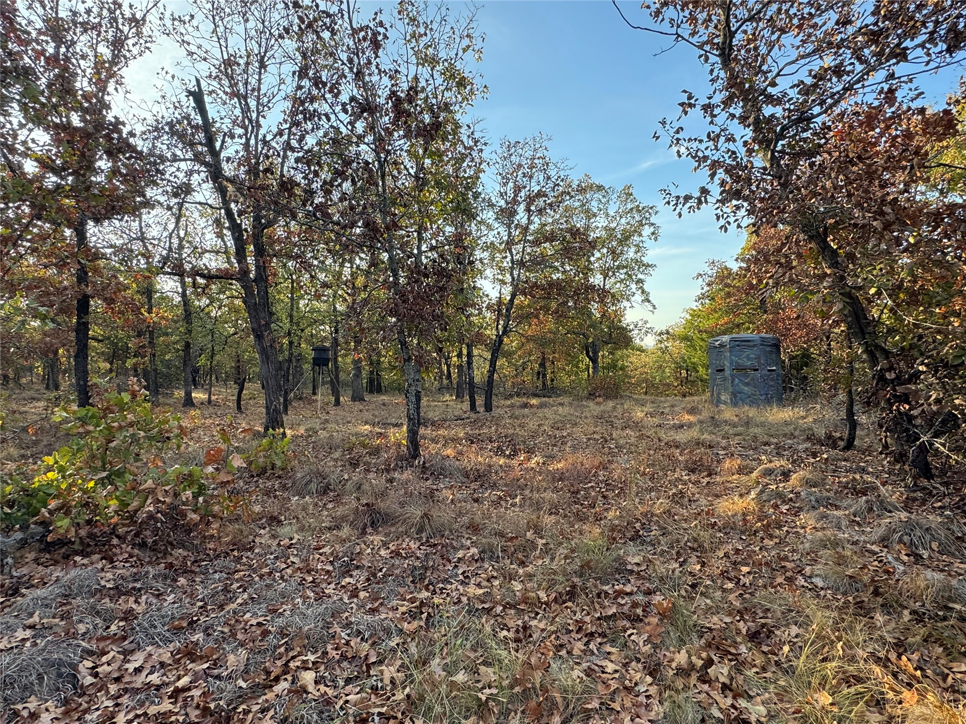 0 Shuman Property Photo 24