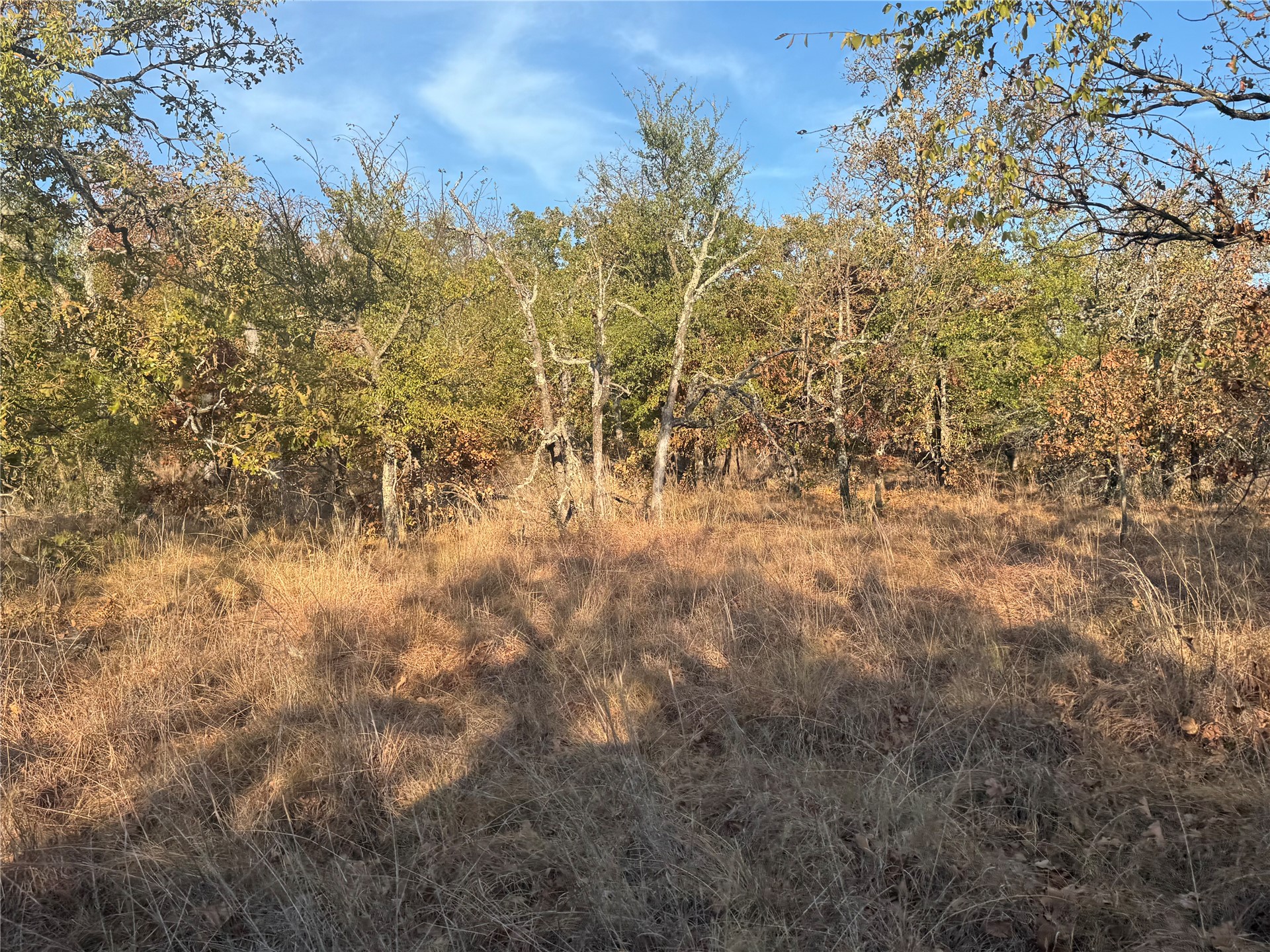 0 Shuman Property Photo 25
