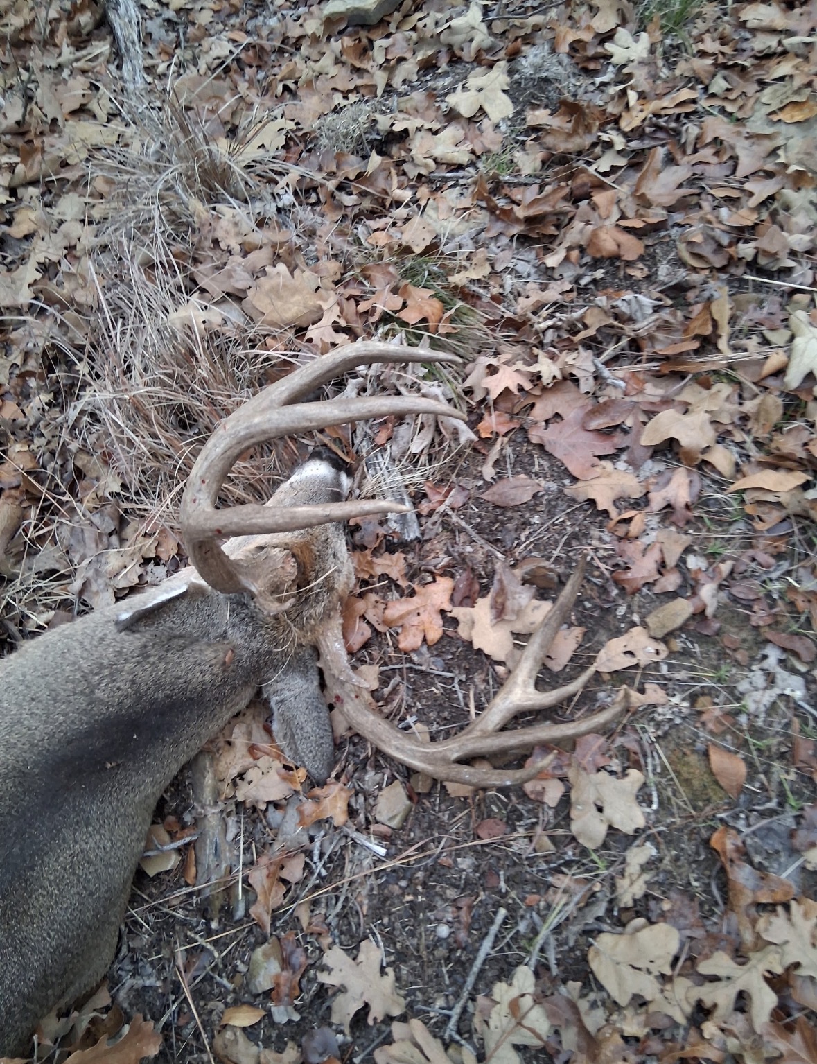 0 Shuman Property Photo 30