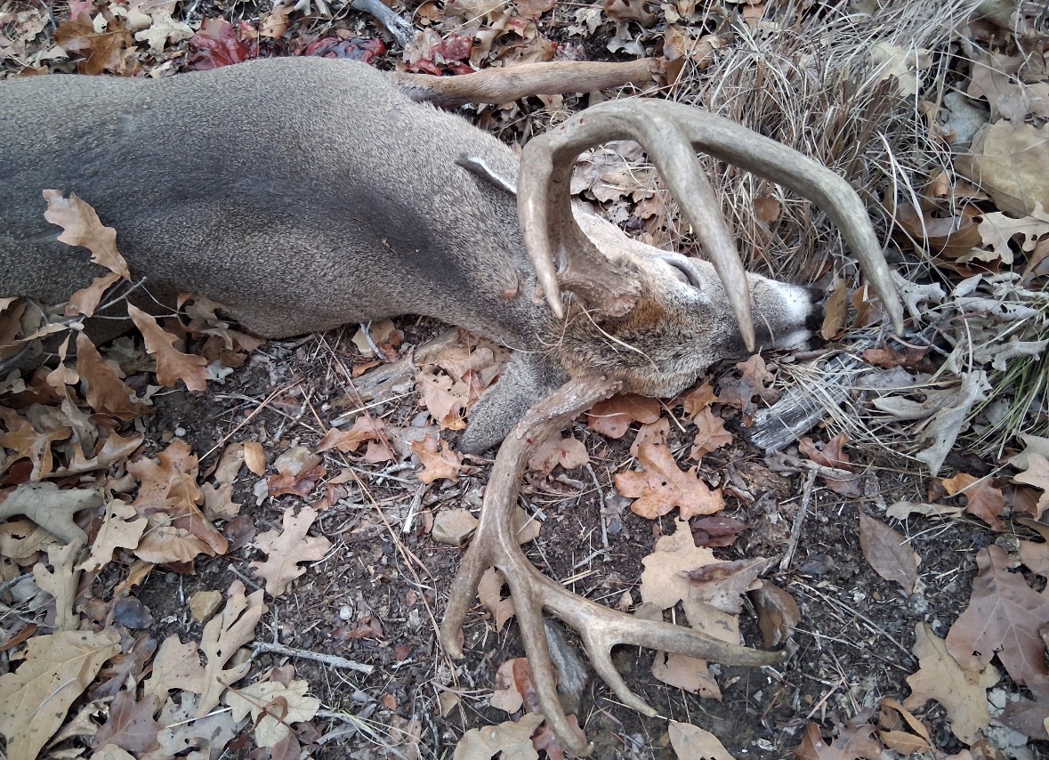 0 Shuman Property Photo 31