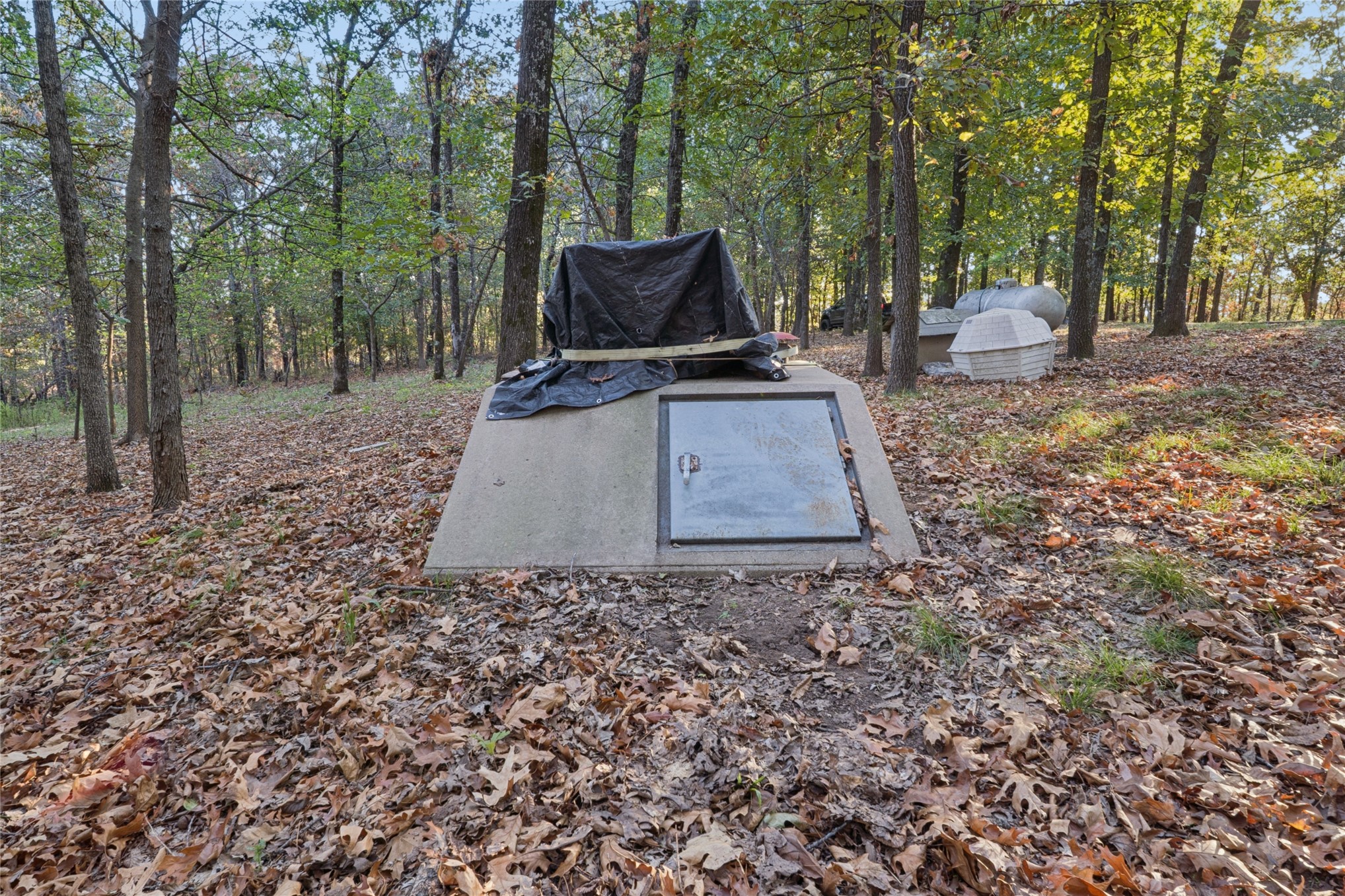 16317 S 4233 Road Property Photo 37