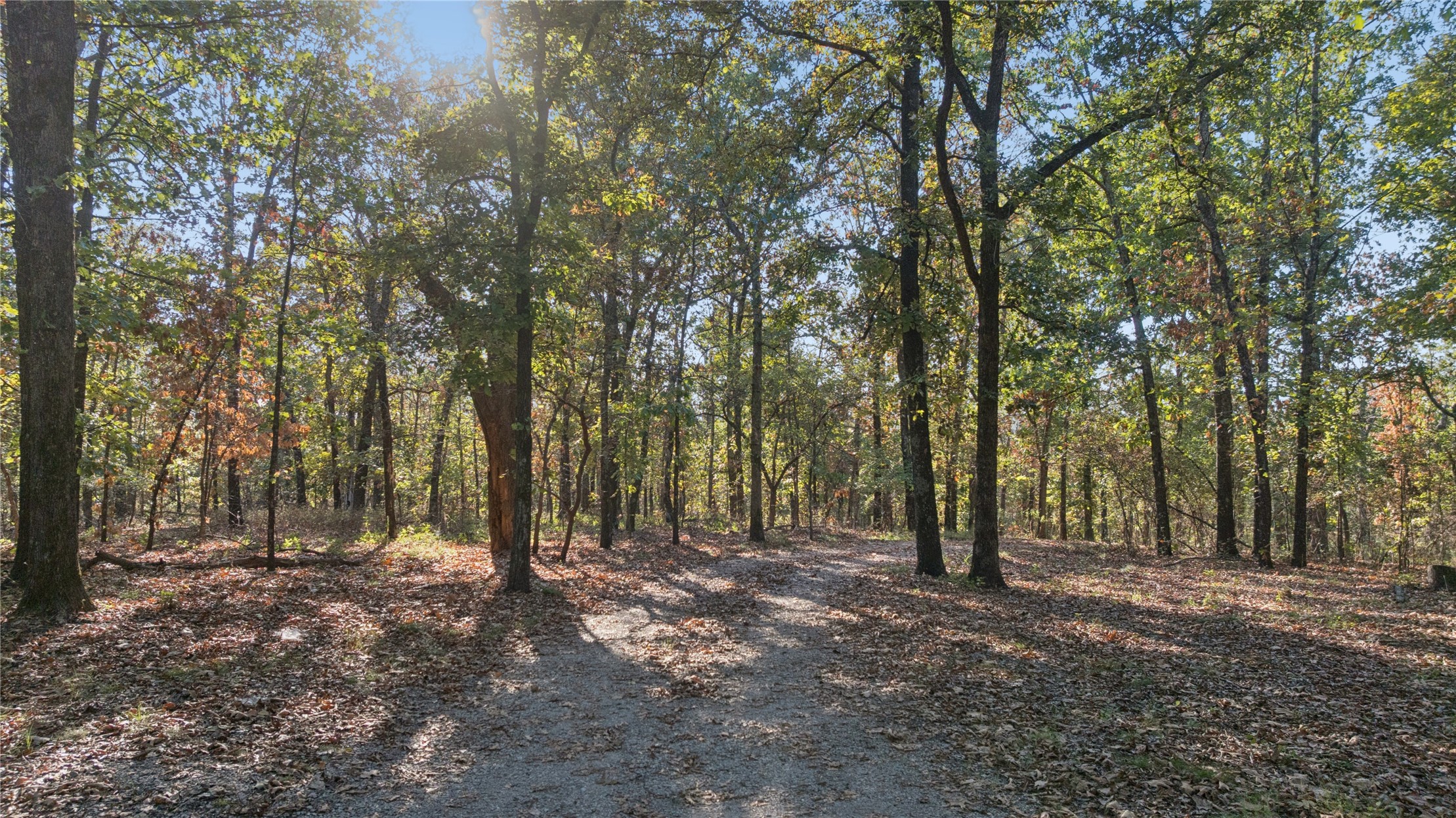 16317 S 4233 Road Property Photo 39
