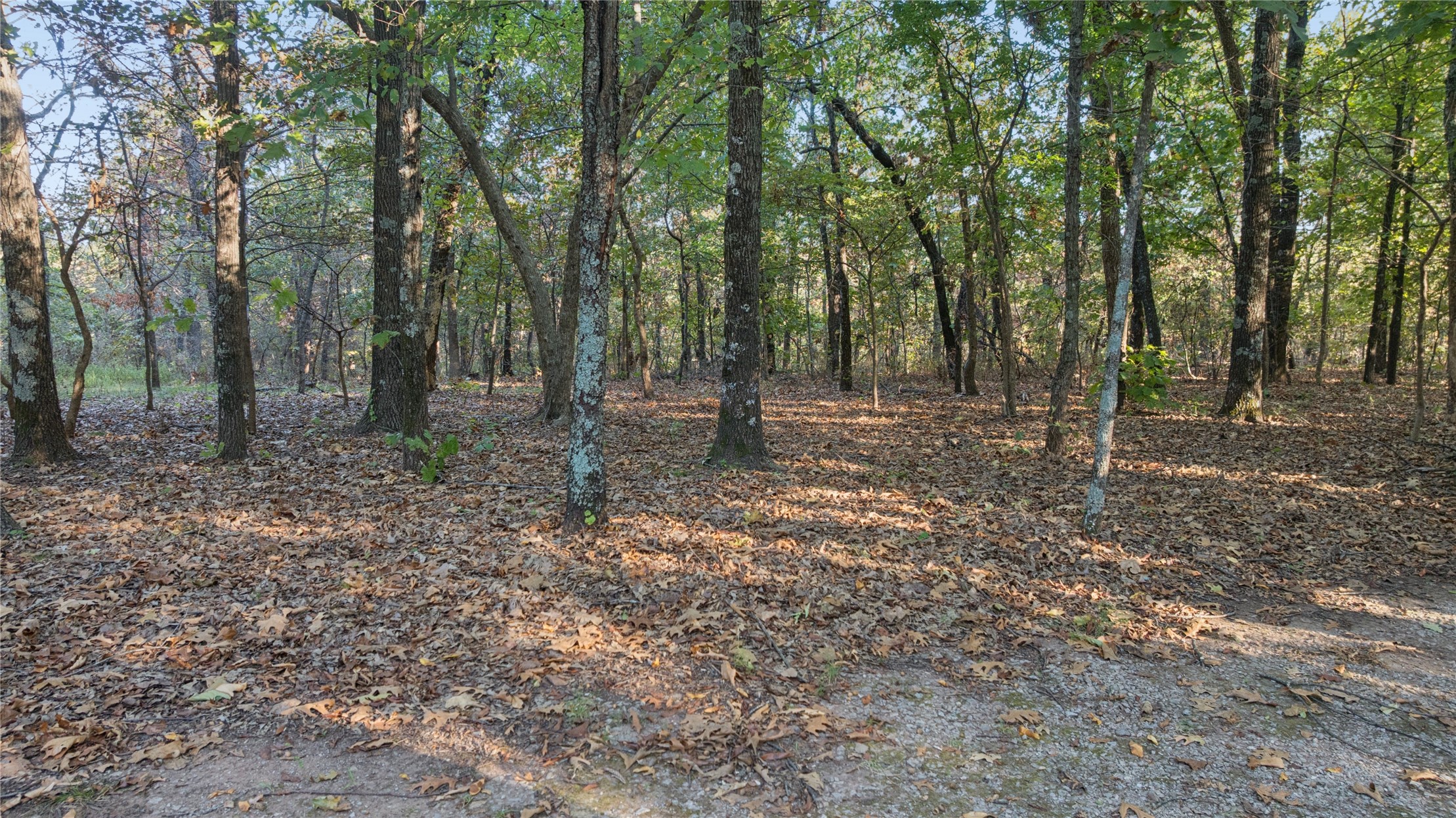 16317 S 4233 Road Property Photo 40