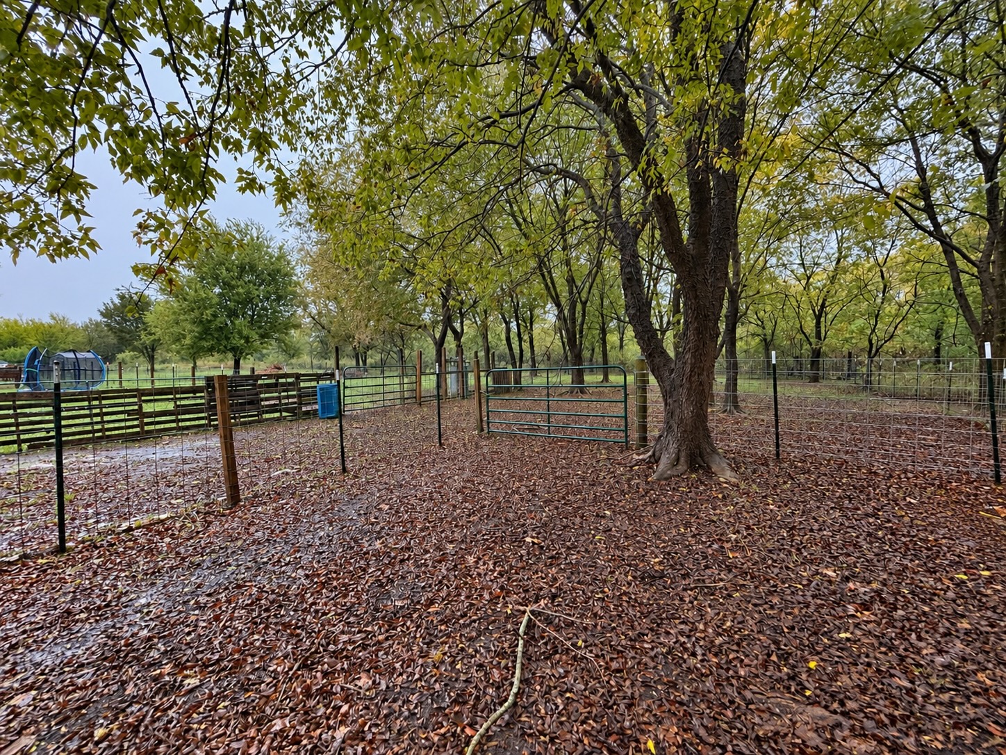 8788 Gunner Road Property Photo 29