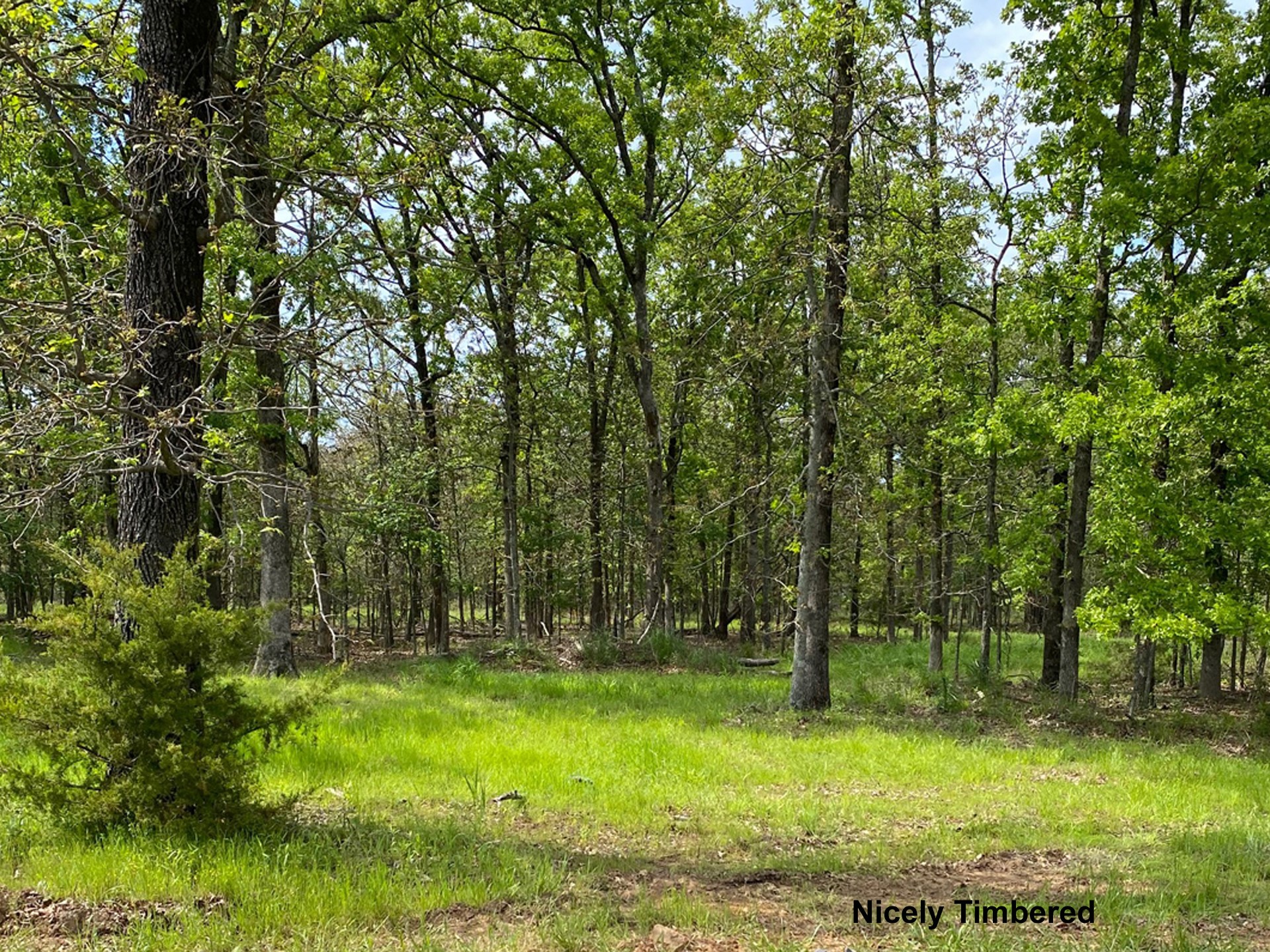 718 Ridgeview Drive Property Photo 1