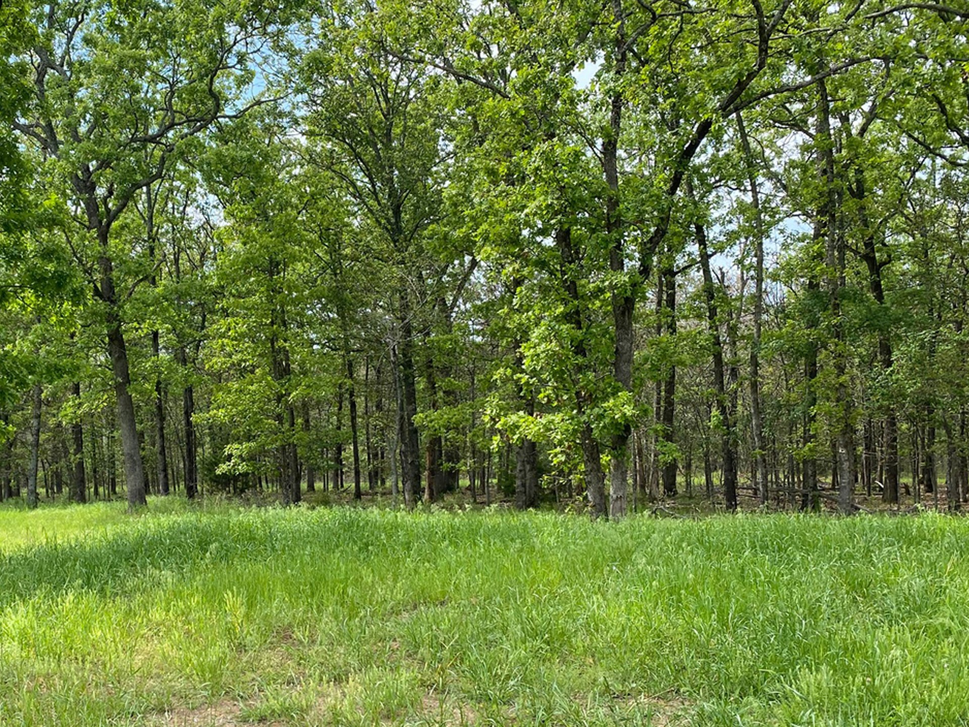 718 Ridgeview Drive Property Photo 4