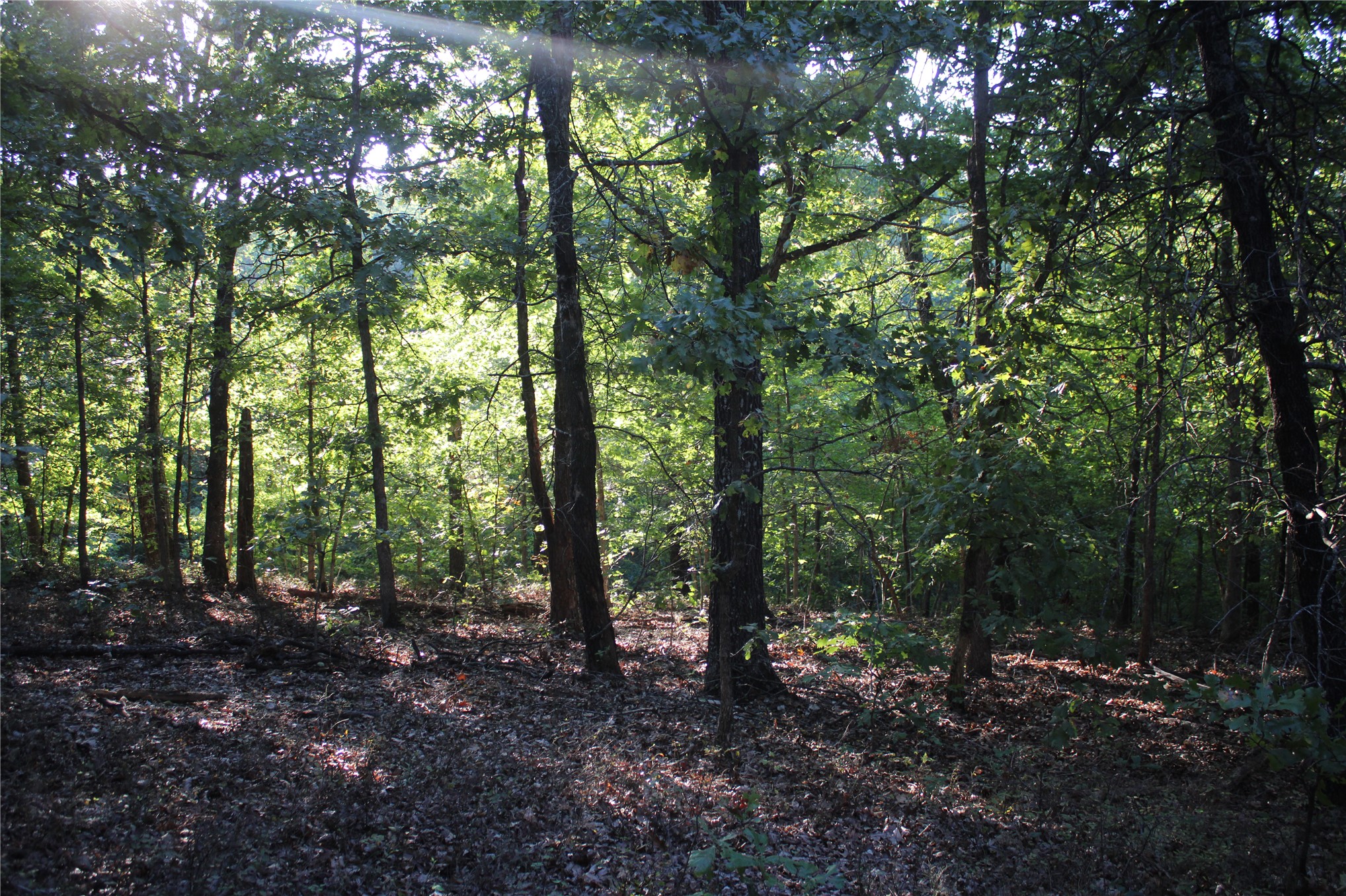 0000 S 640 Road Property Photo 34