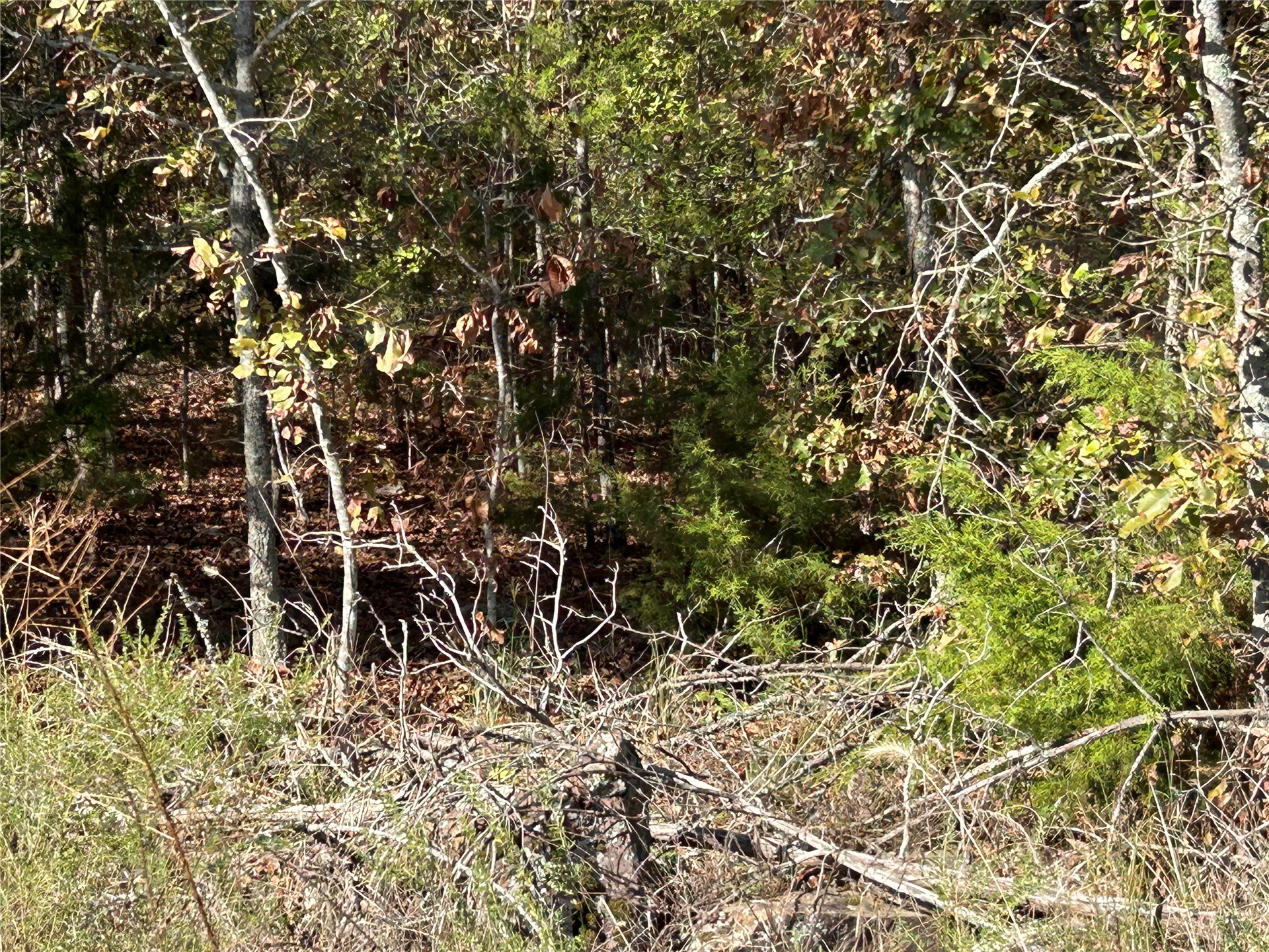 S 4673 Road Property Photo 6