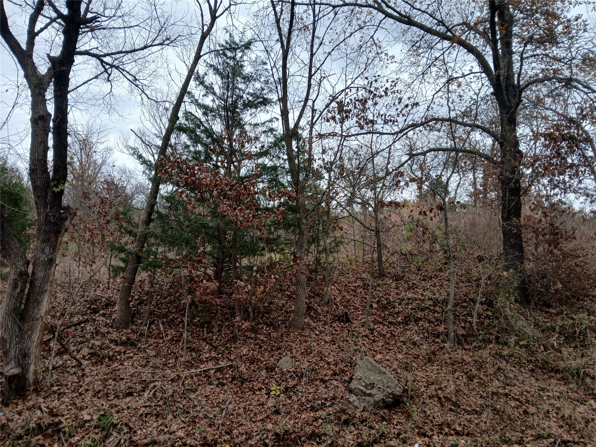 Sahoma Lake Road Property Photo 2