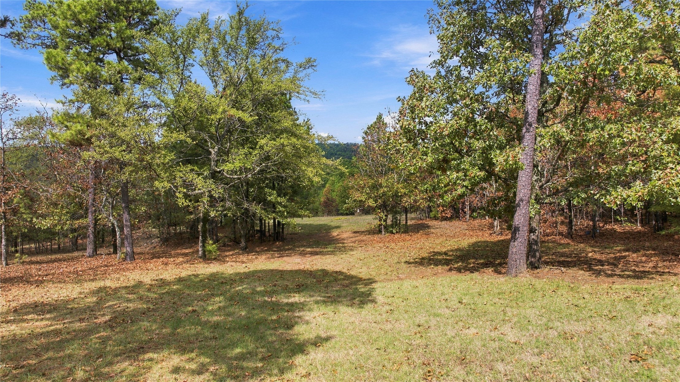 4152 Sw 230 Road Property Photo 39