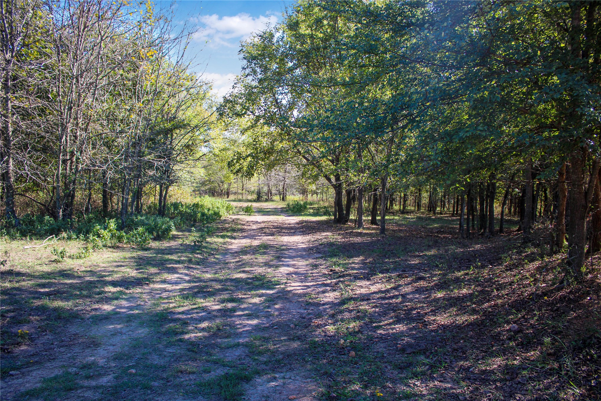 0000 S 550 Road Property Photo 55