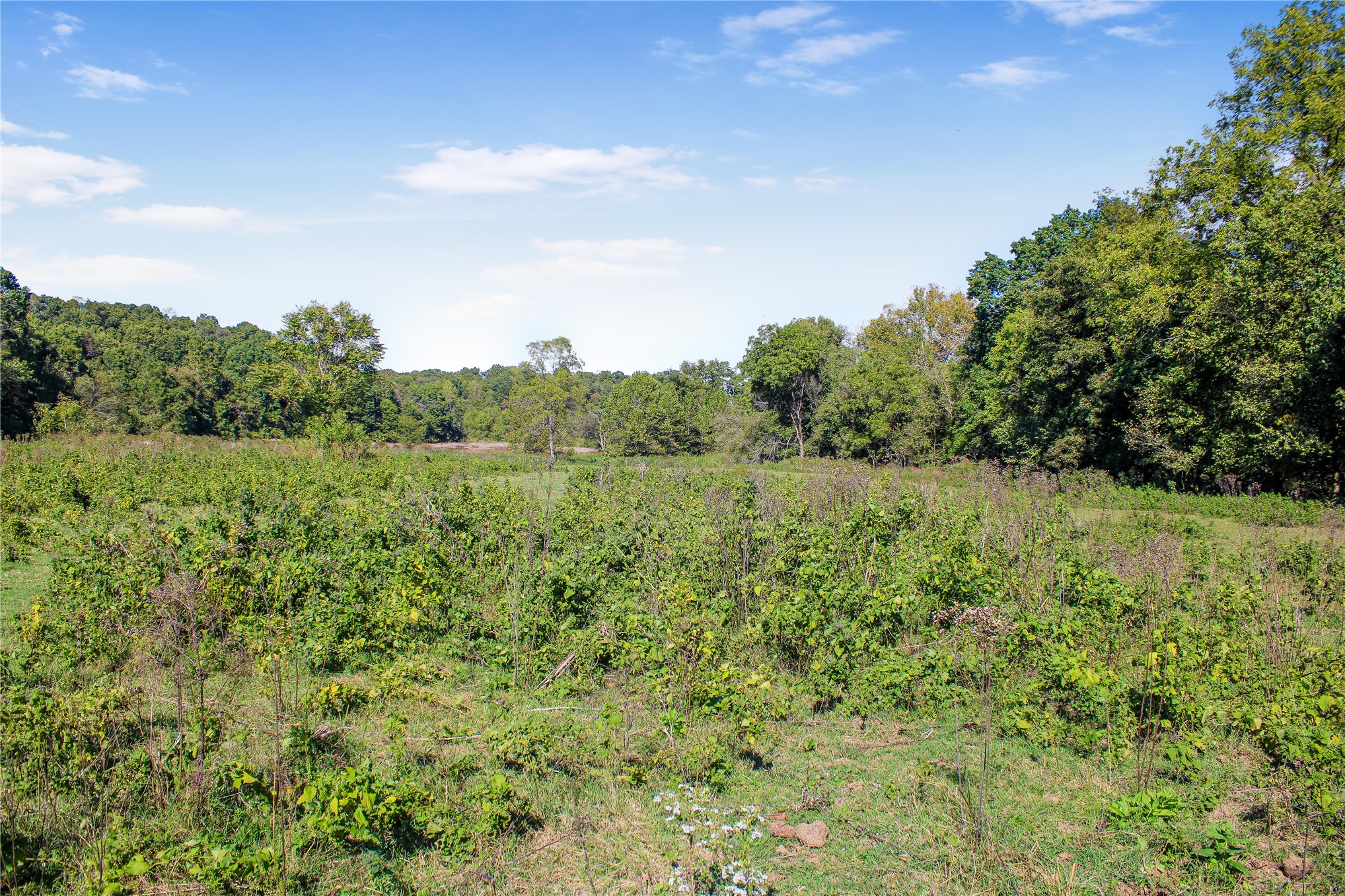 0000 S 550 Road Property Photo 62