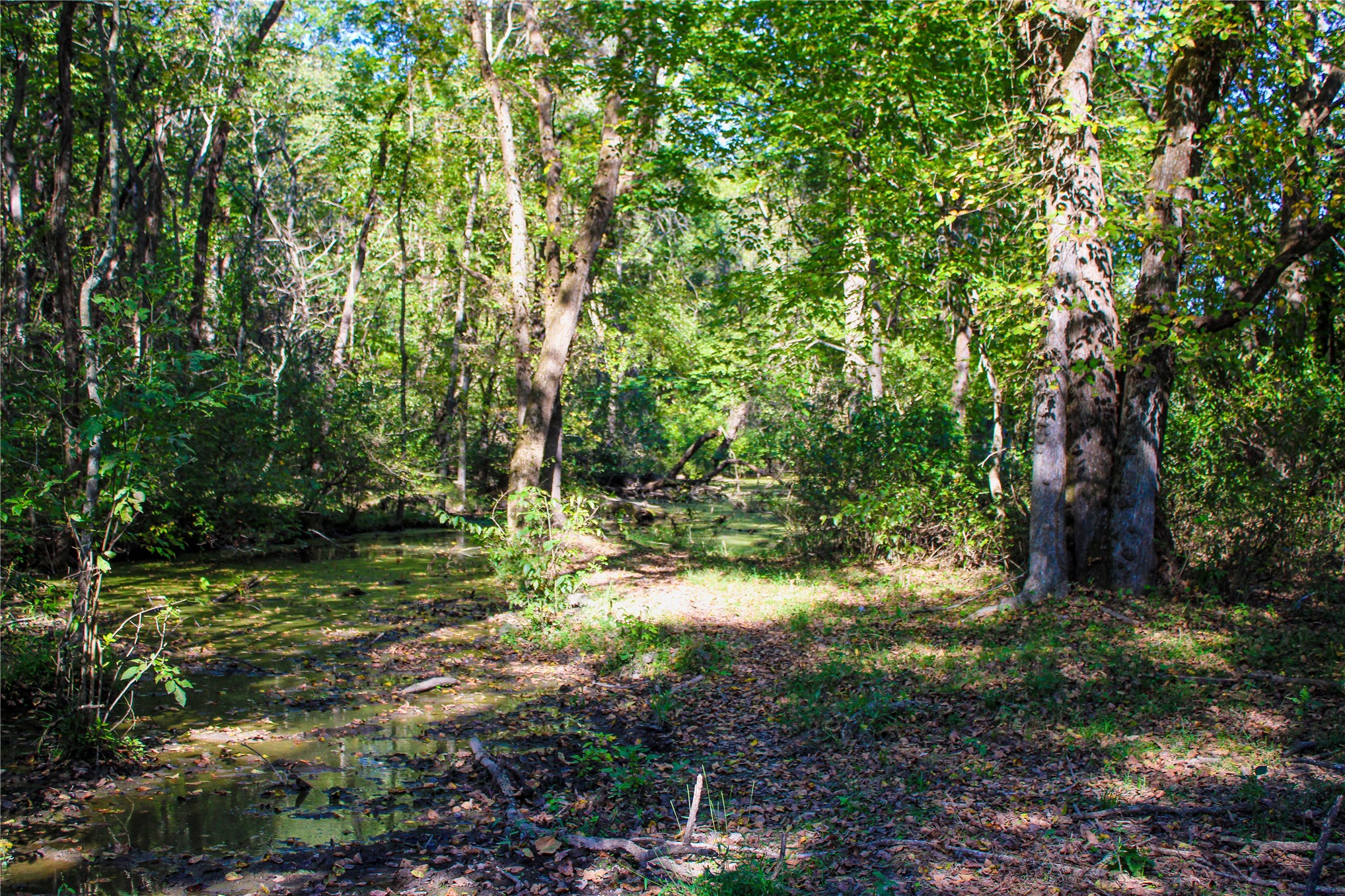 0000 S 550 Road Property Photo 64