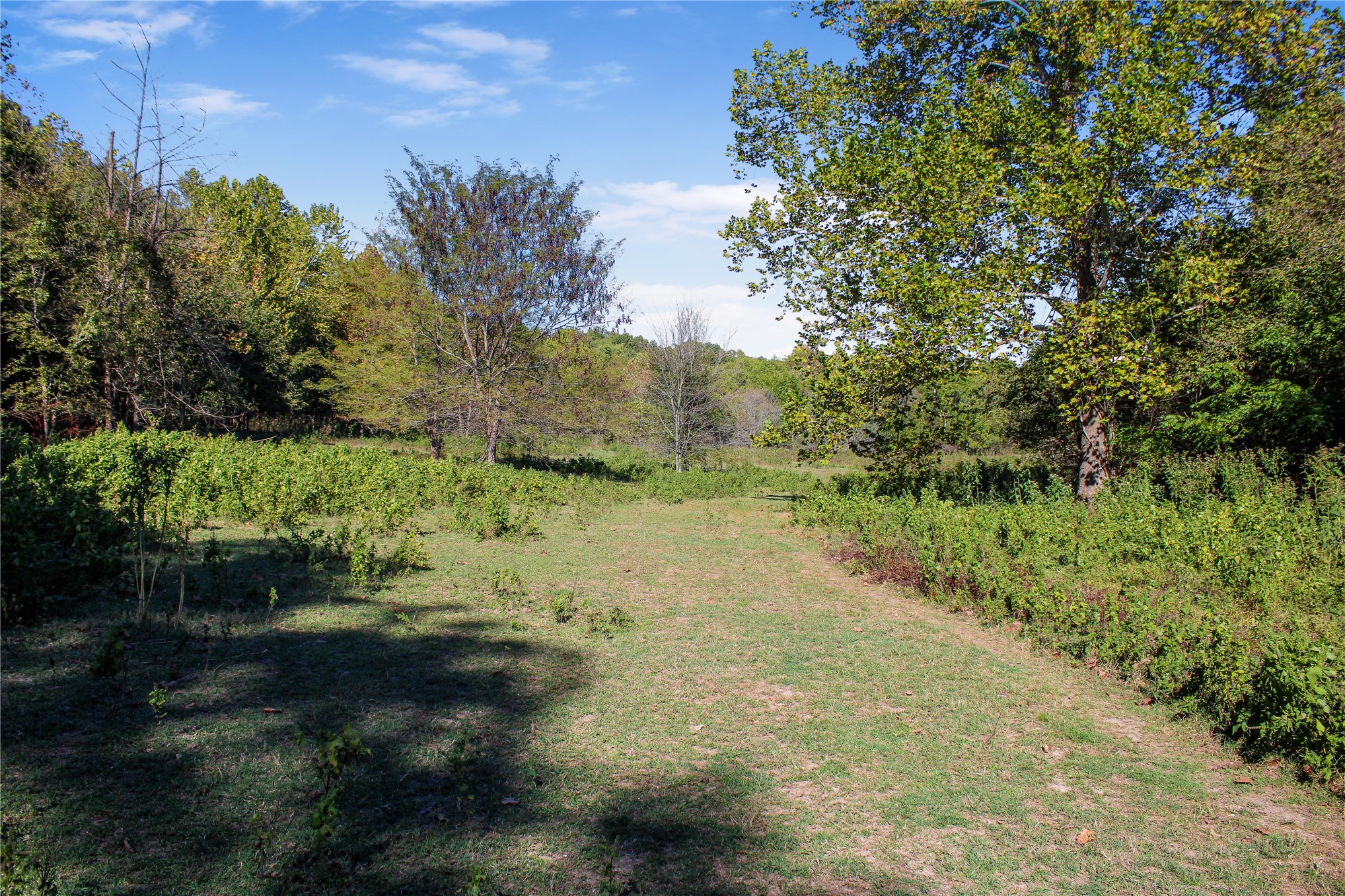 0000 S 550 Road Property Photo 66