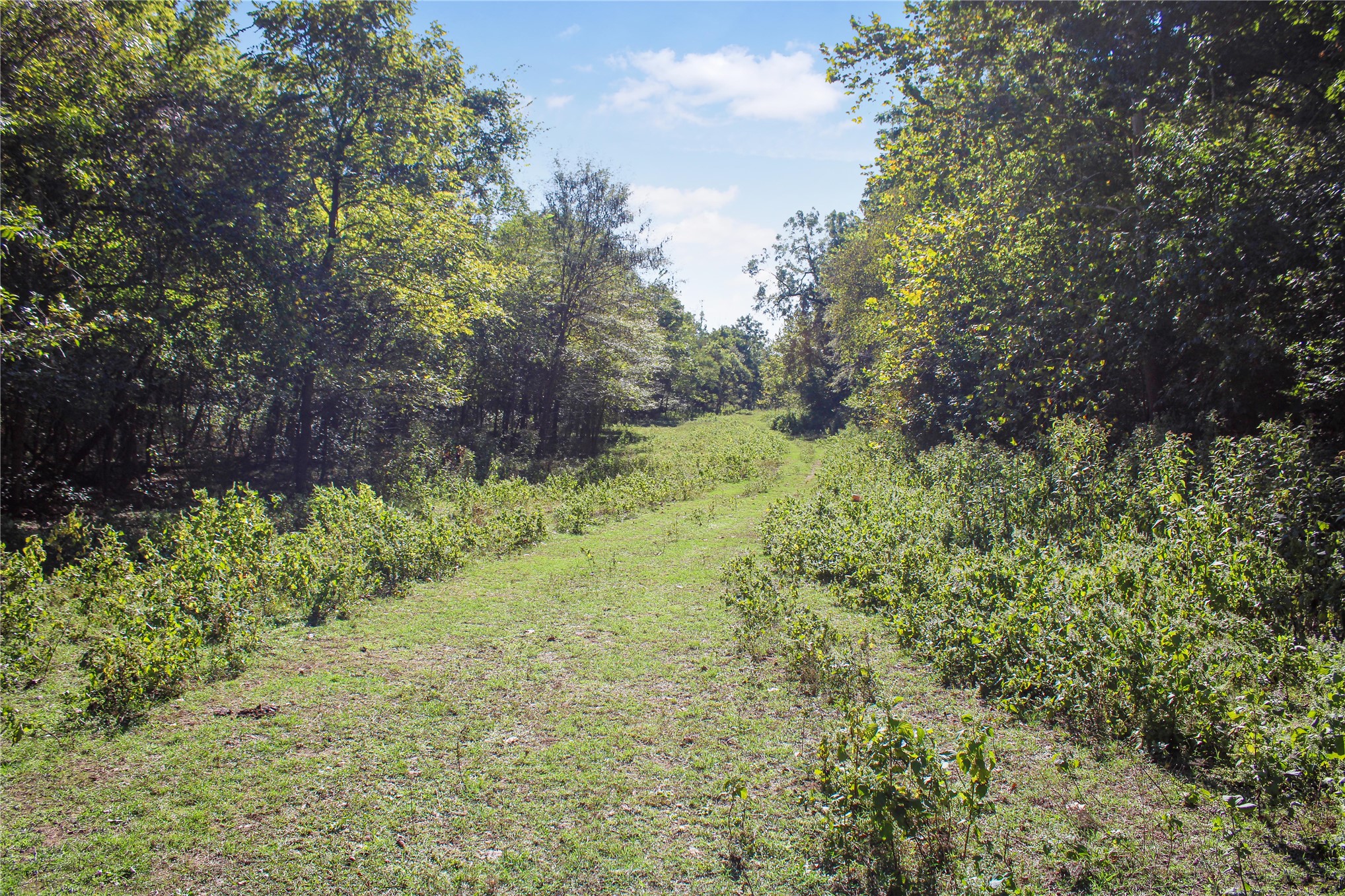 0000 S 550 Road Property Photo 67