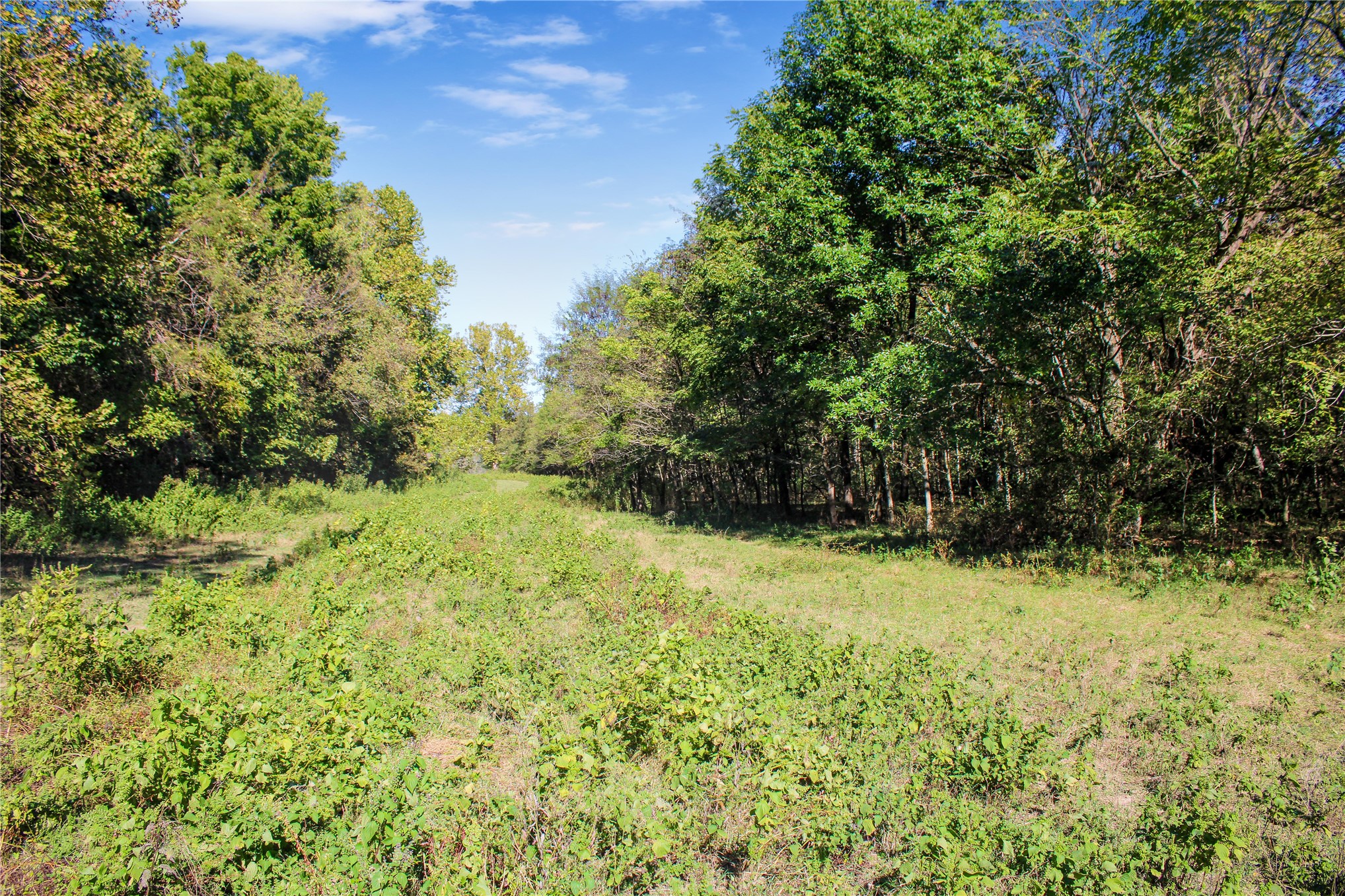0000 S 550 Road Property Photo 68