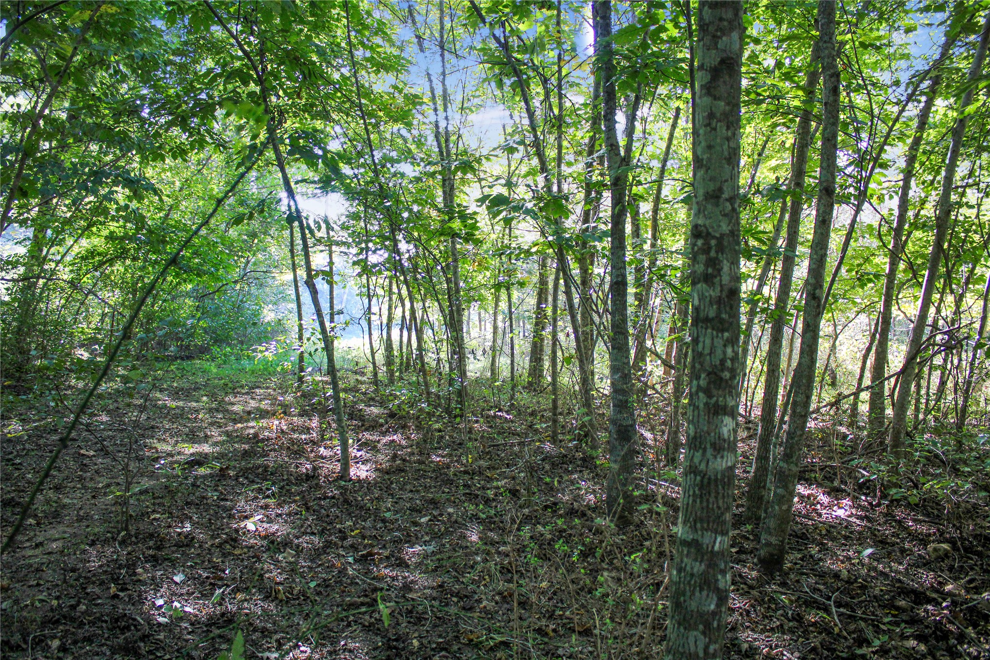 0000 S 550 Road Property Photo 75