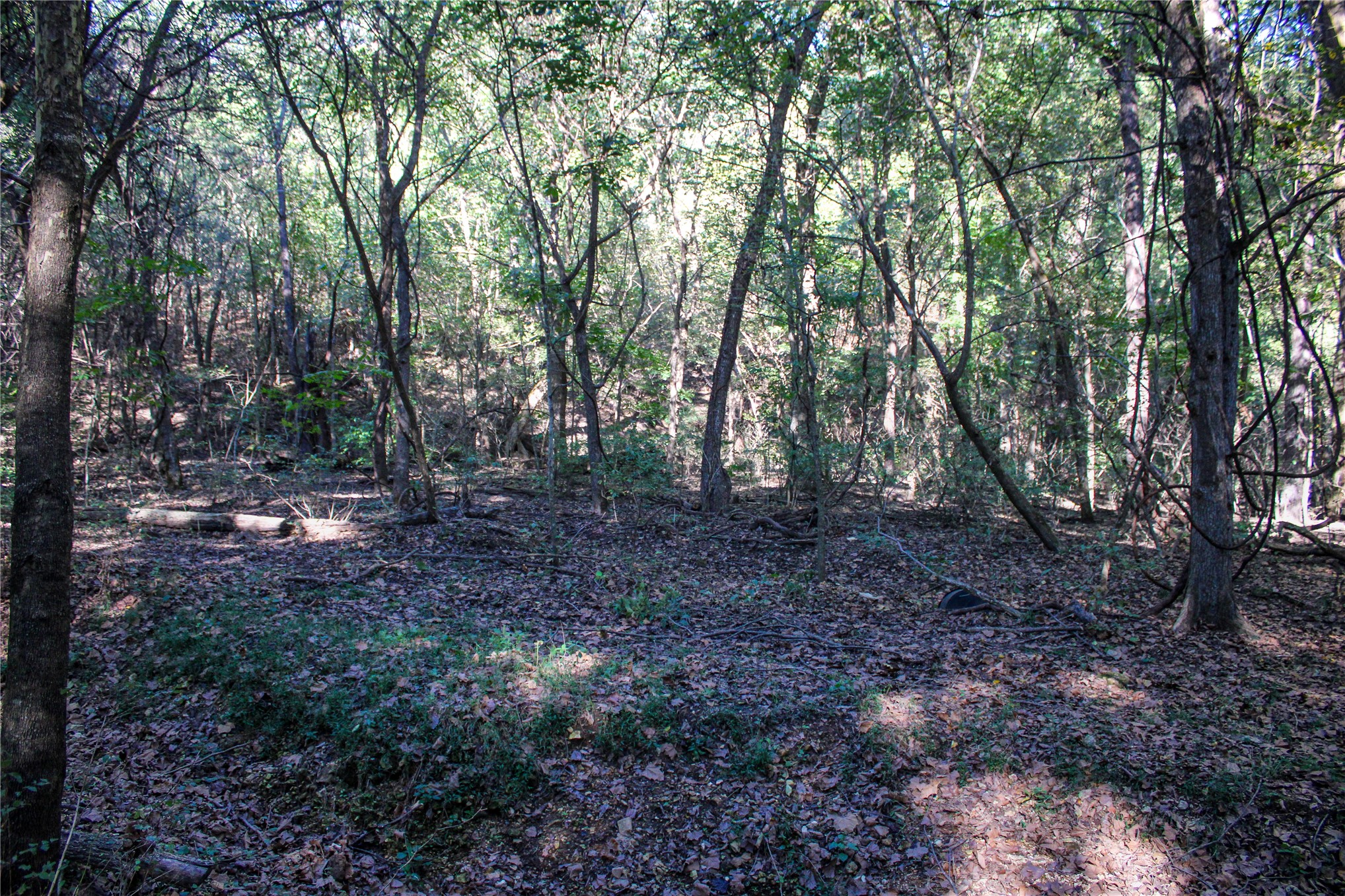 0000 S 550 Road Property Photo 85