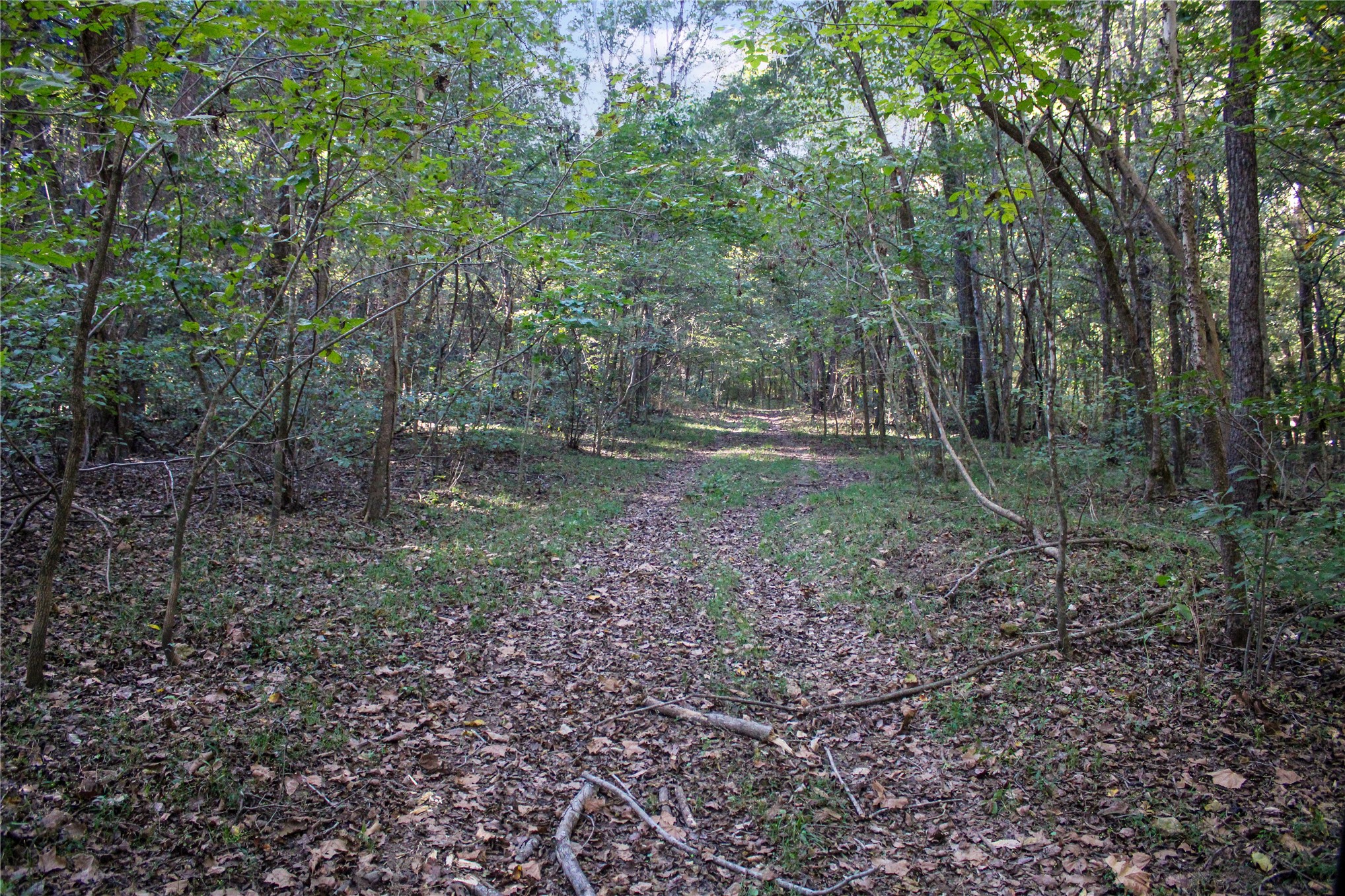 0000 S 550 Road Property Photo 88