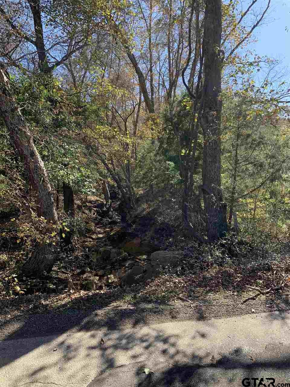 Tbd Cr 472 & I20 Property Photo 1
