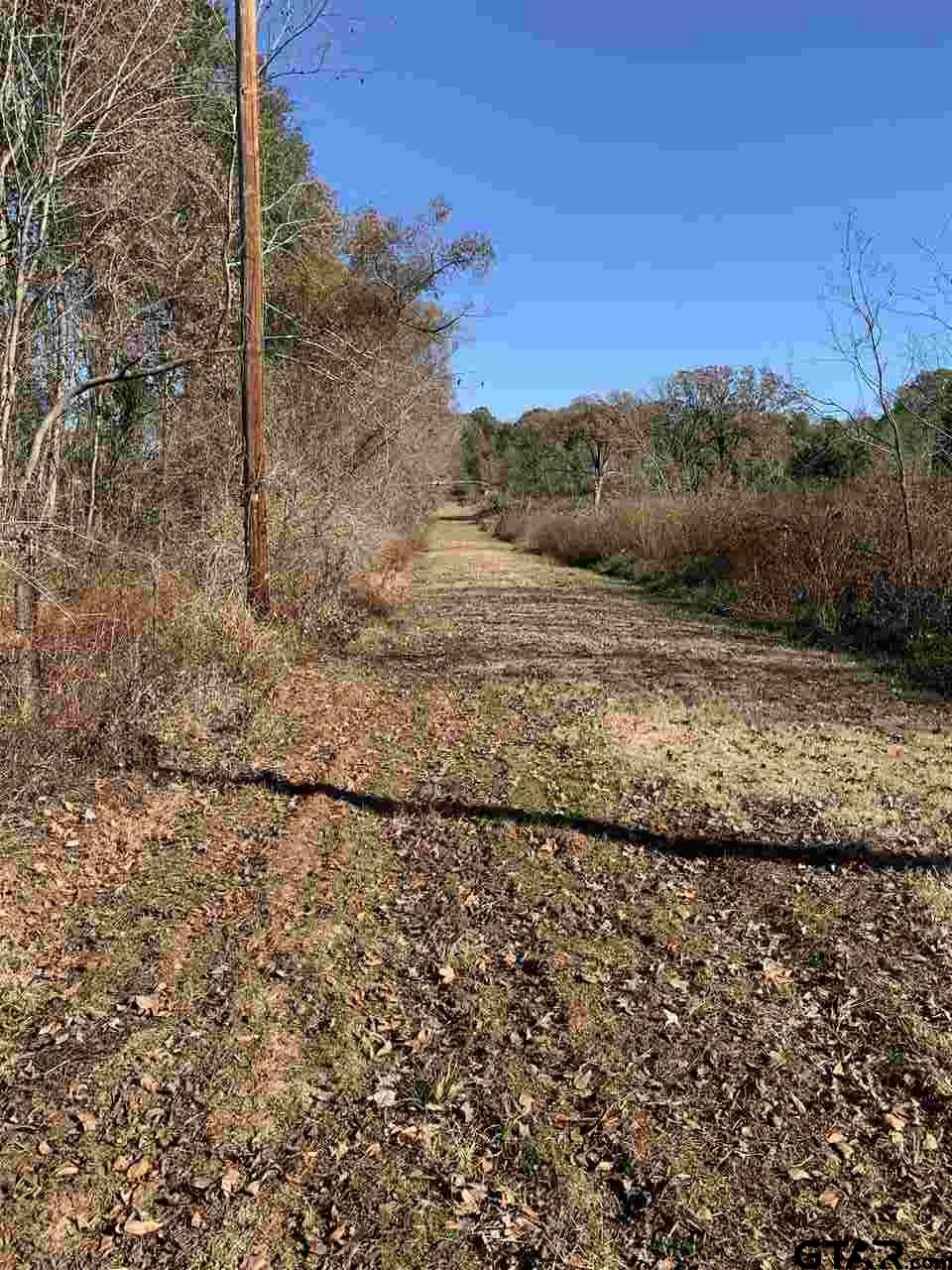 Tbd Cr 463 & I20 Property Photo 1