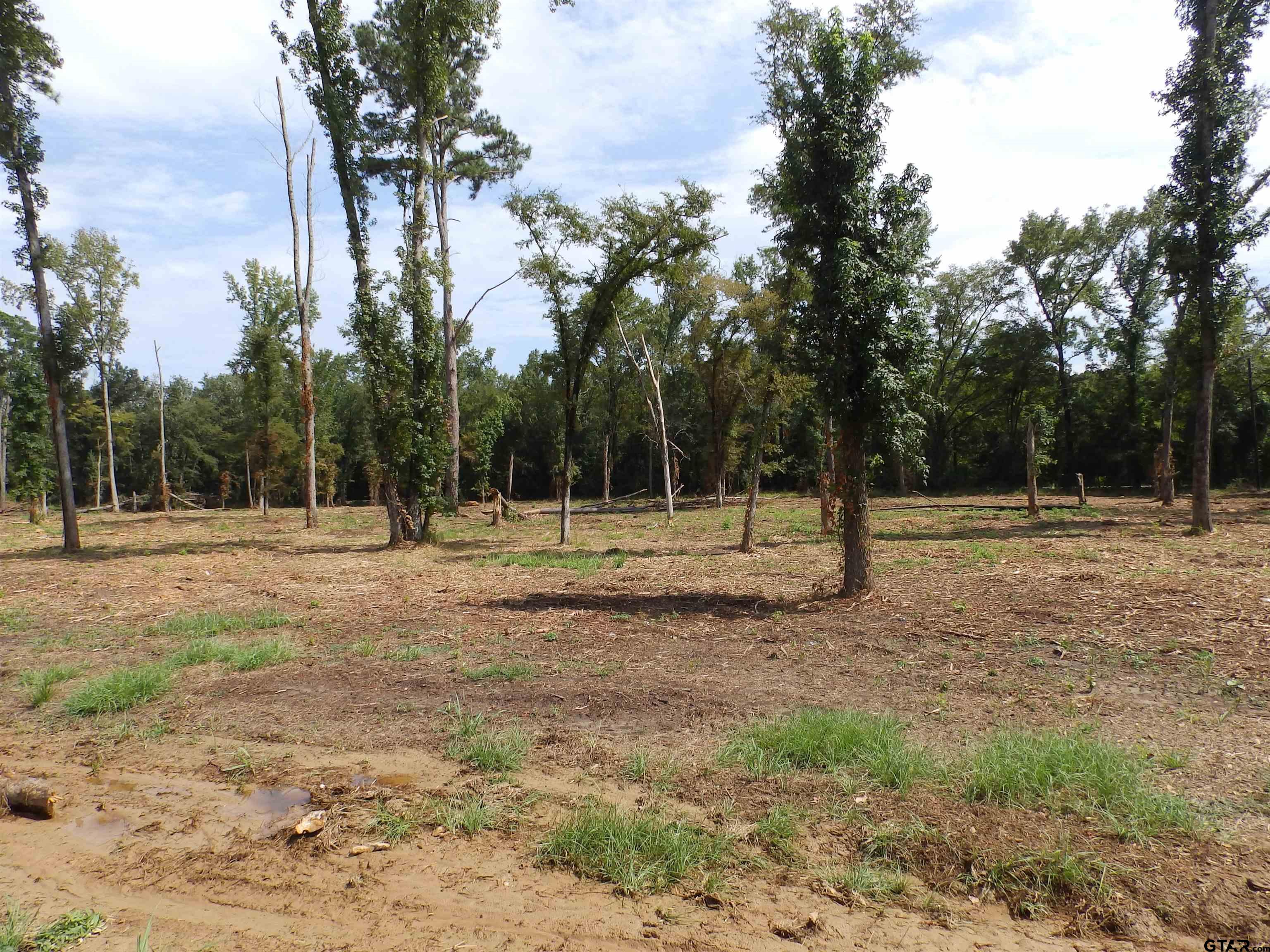 16393 W Hwy 31 Lot-1 Property Photo 6
