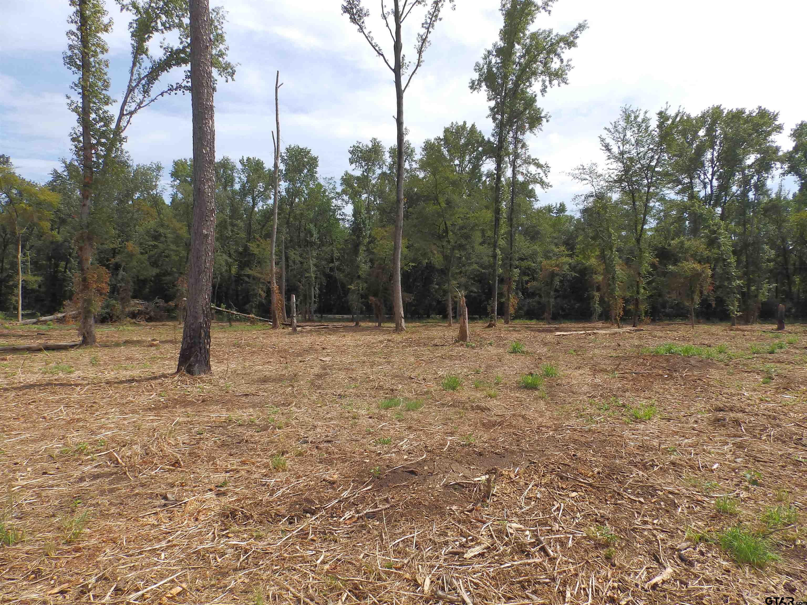 16393 W Hwy 31 Lot-1 Property Photo 7