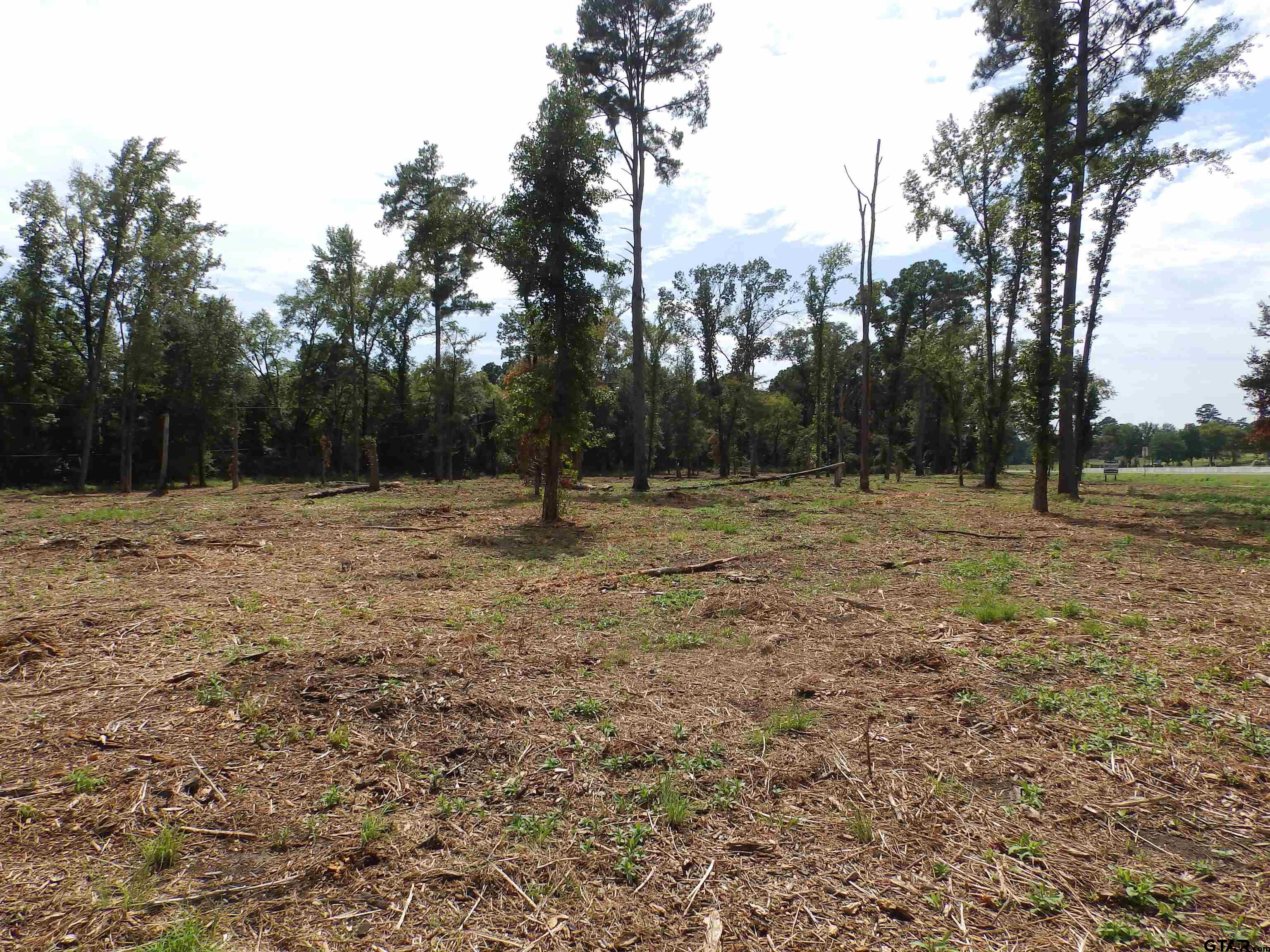 16393 W Hwy 31 Lot-1 Property Photo 8