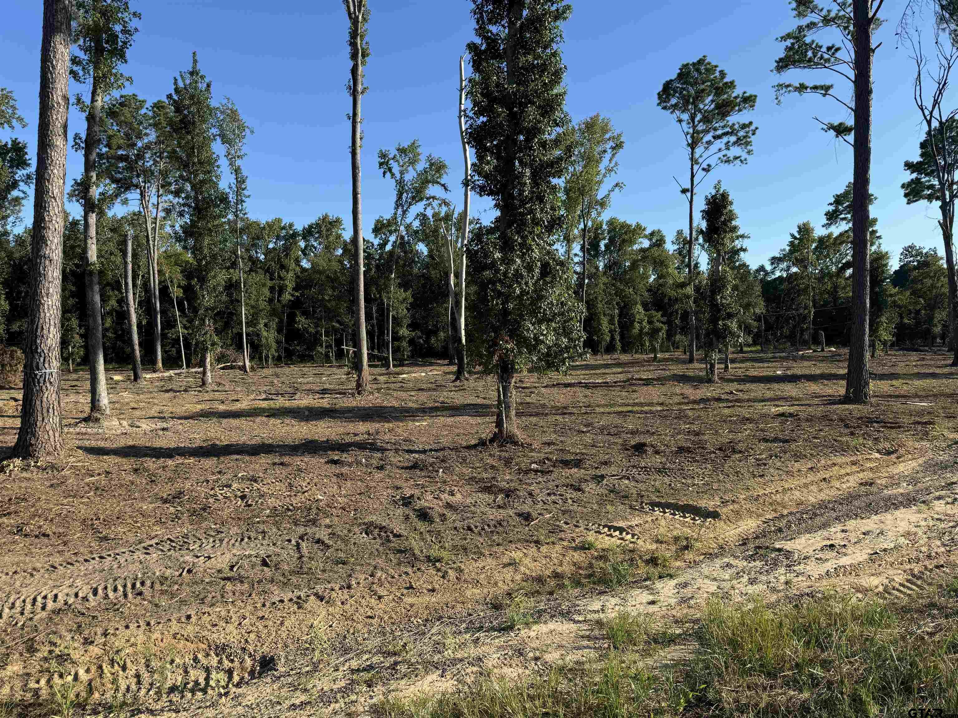 16393 W Hwy 31 Lot-1 Property Photo 9
