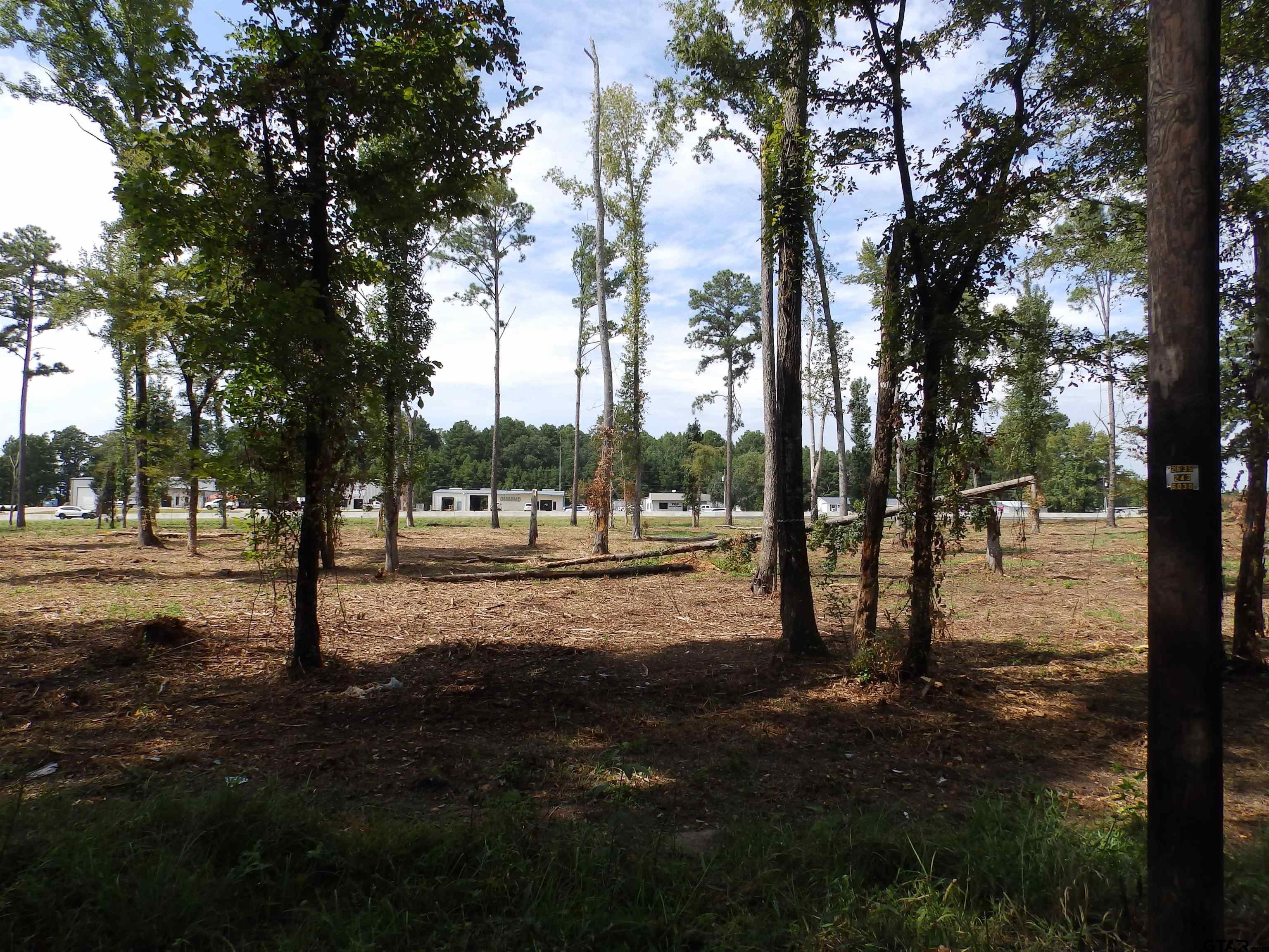 16393 W Hwy 31 Lot-1 Property Photo 22
