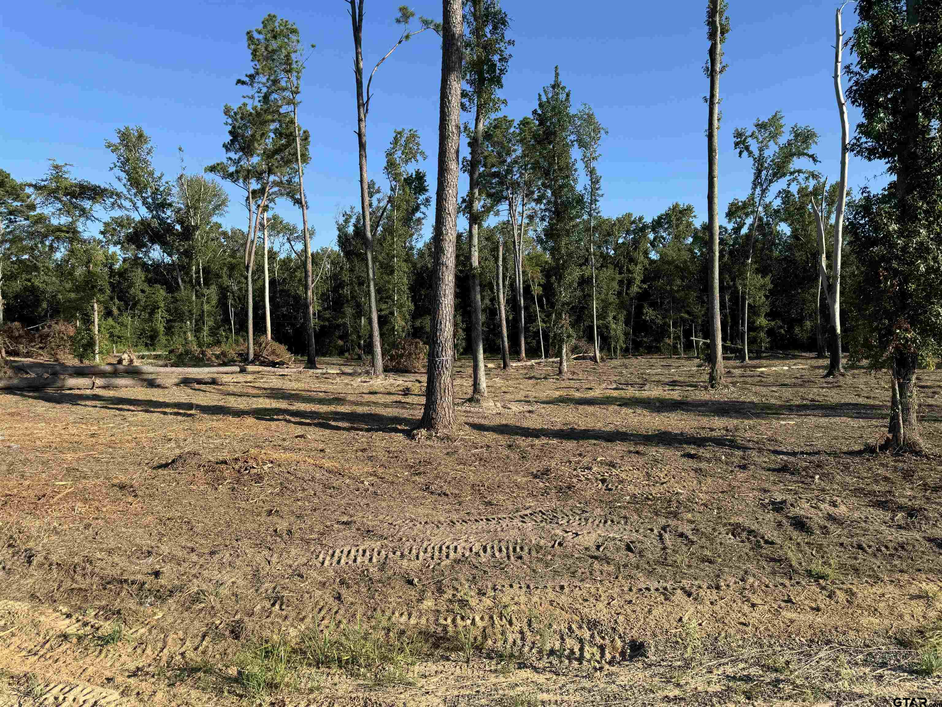 16393 W Hwy 31 Lot-1 Property Photo 26