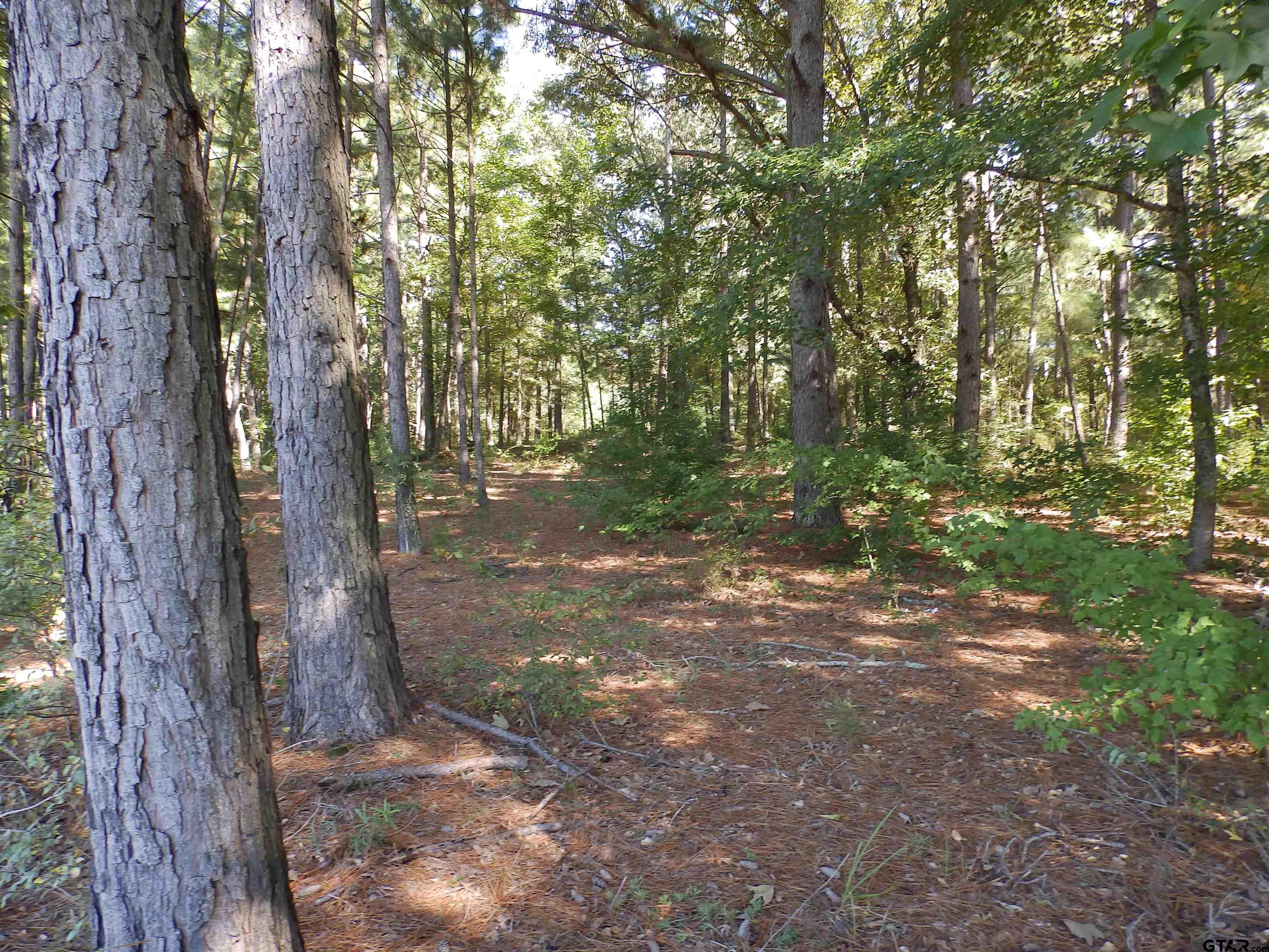 16393 W Hwy 31 Lot-1 Property Photo 30