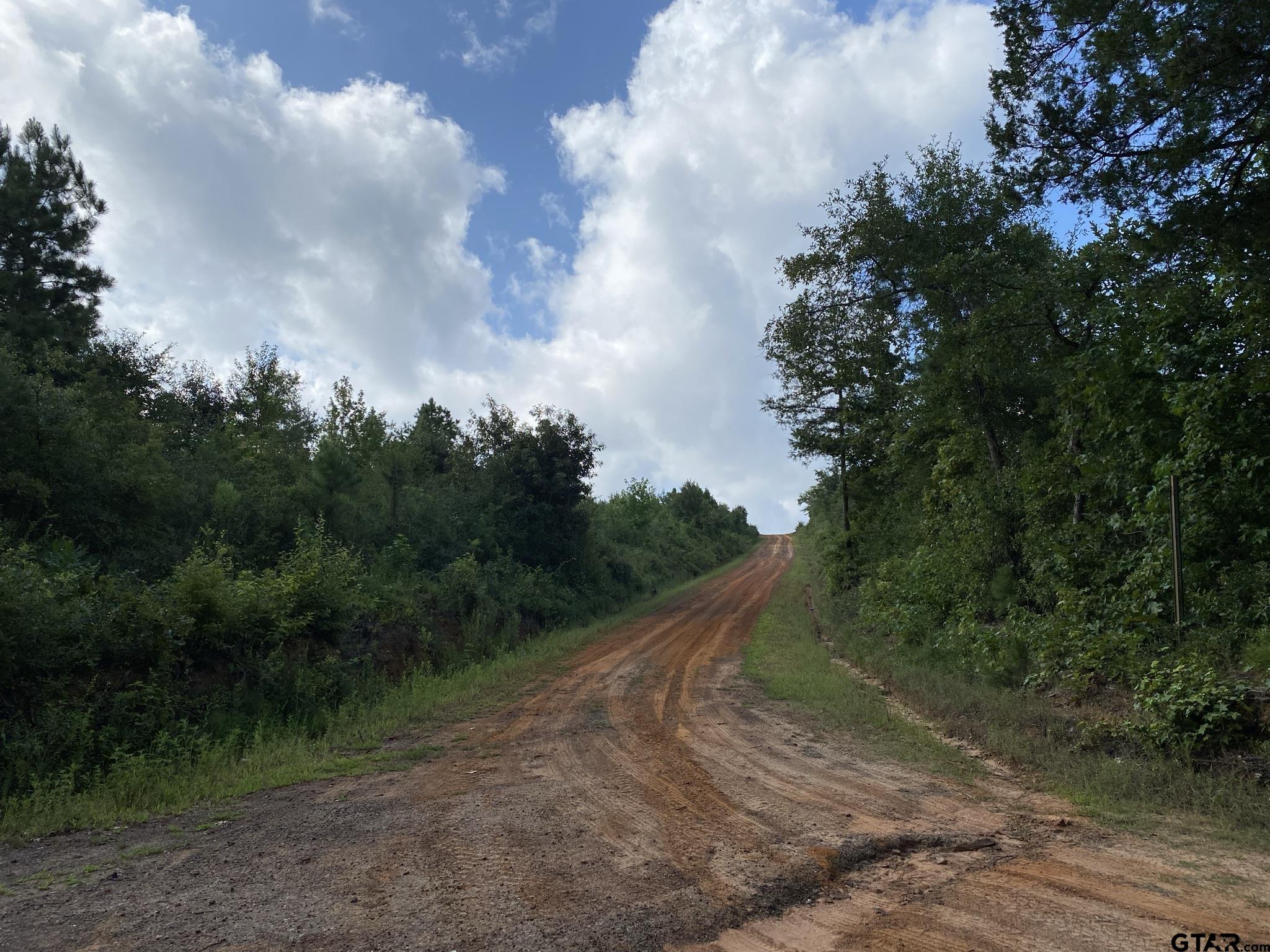 Tbd County Road 394 Property Photo 1