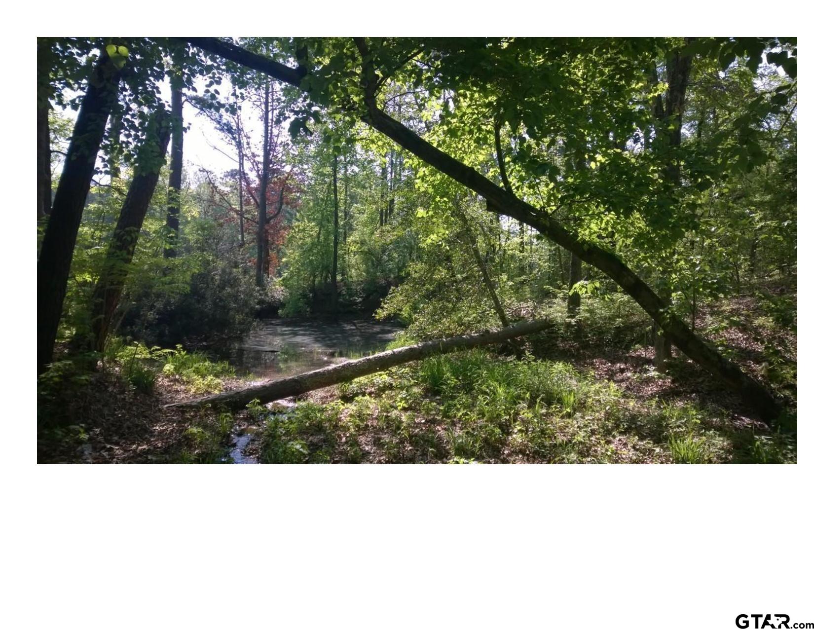 185 And 187 Pr 8577 Property Photo 15