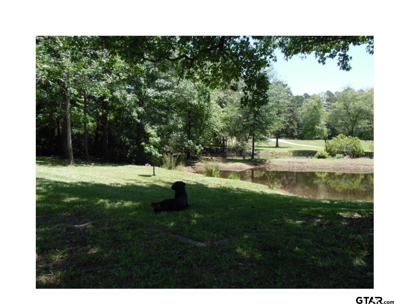 185 And 187 Pr 8577 Property Photo 17