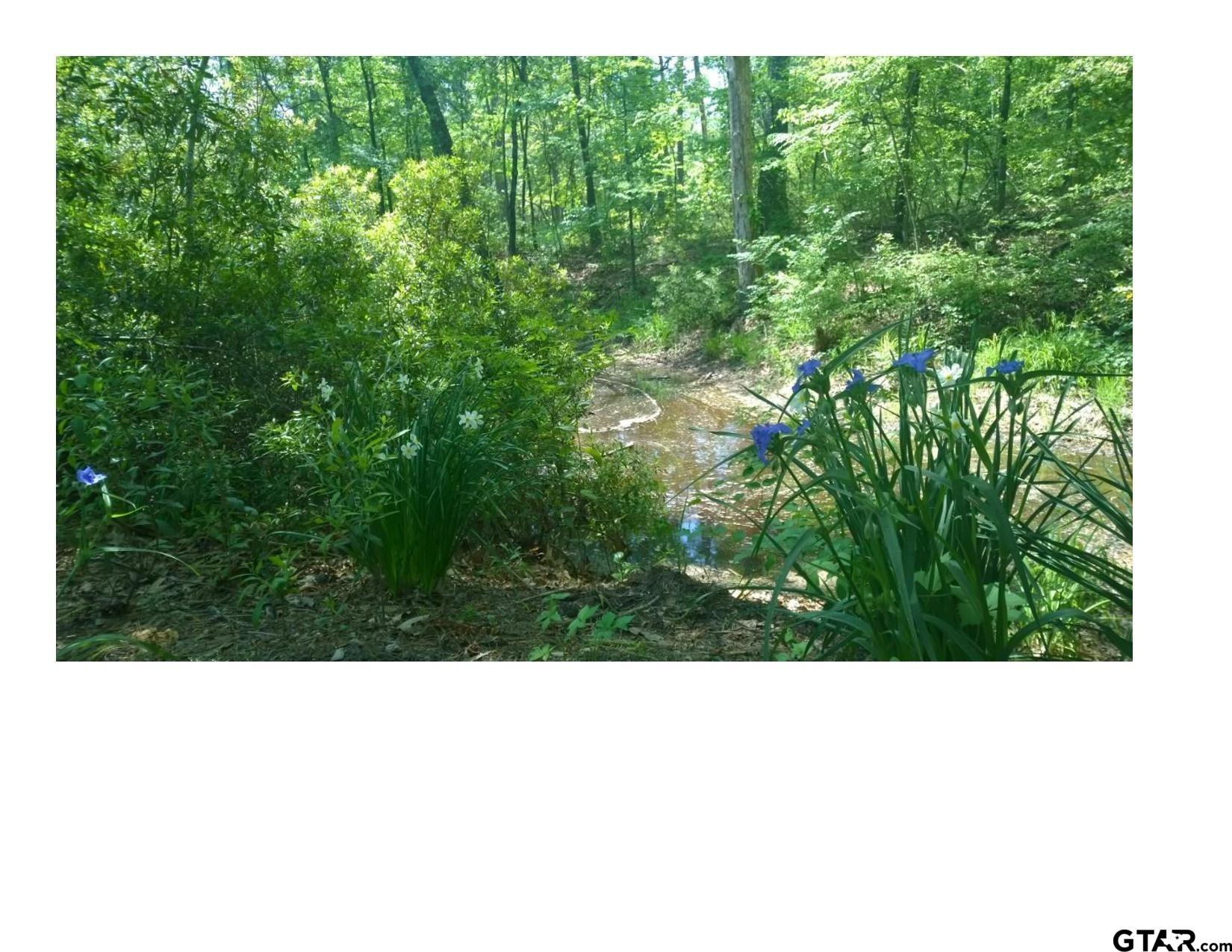 185 And 187 Pr 8577 Property Photo 19