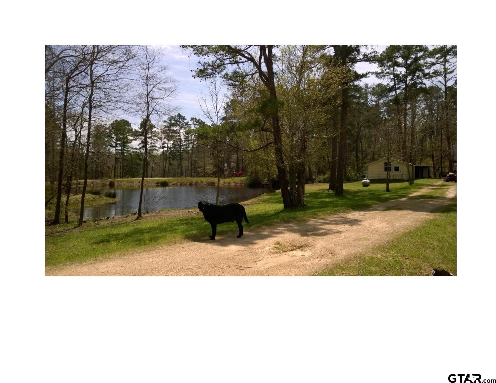 185 And 187 Pr 8577 Property Photo 30