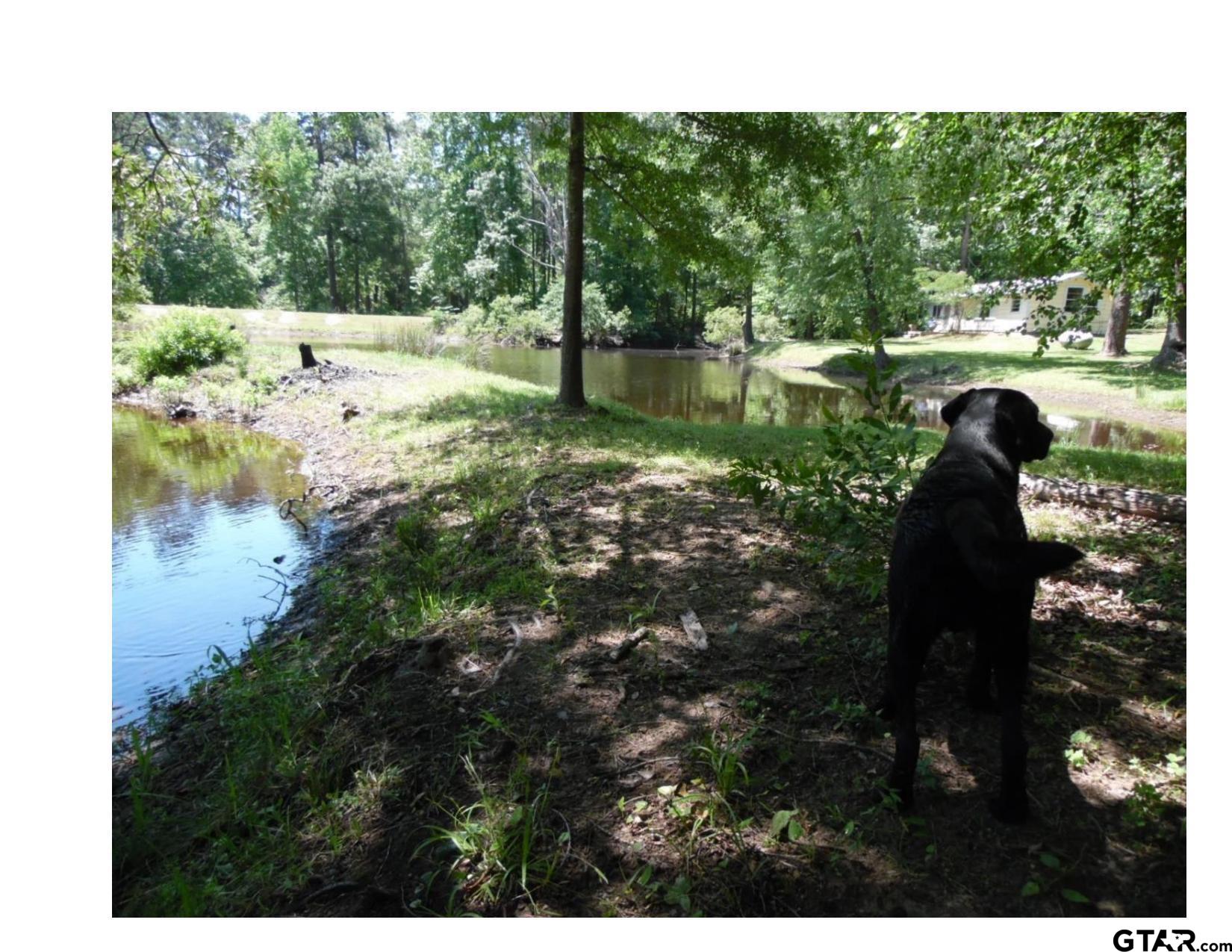 185 And 187 Pr 8577 Property Photo 34