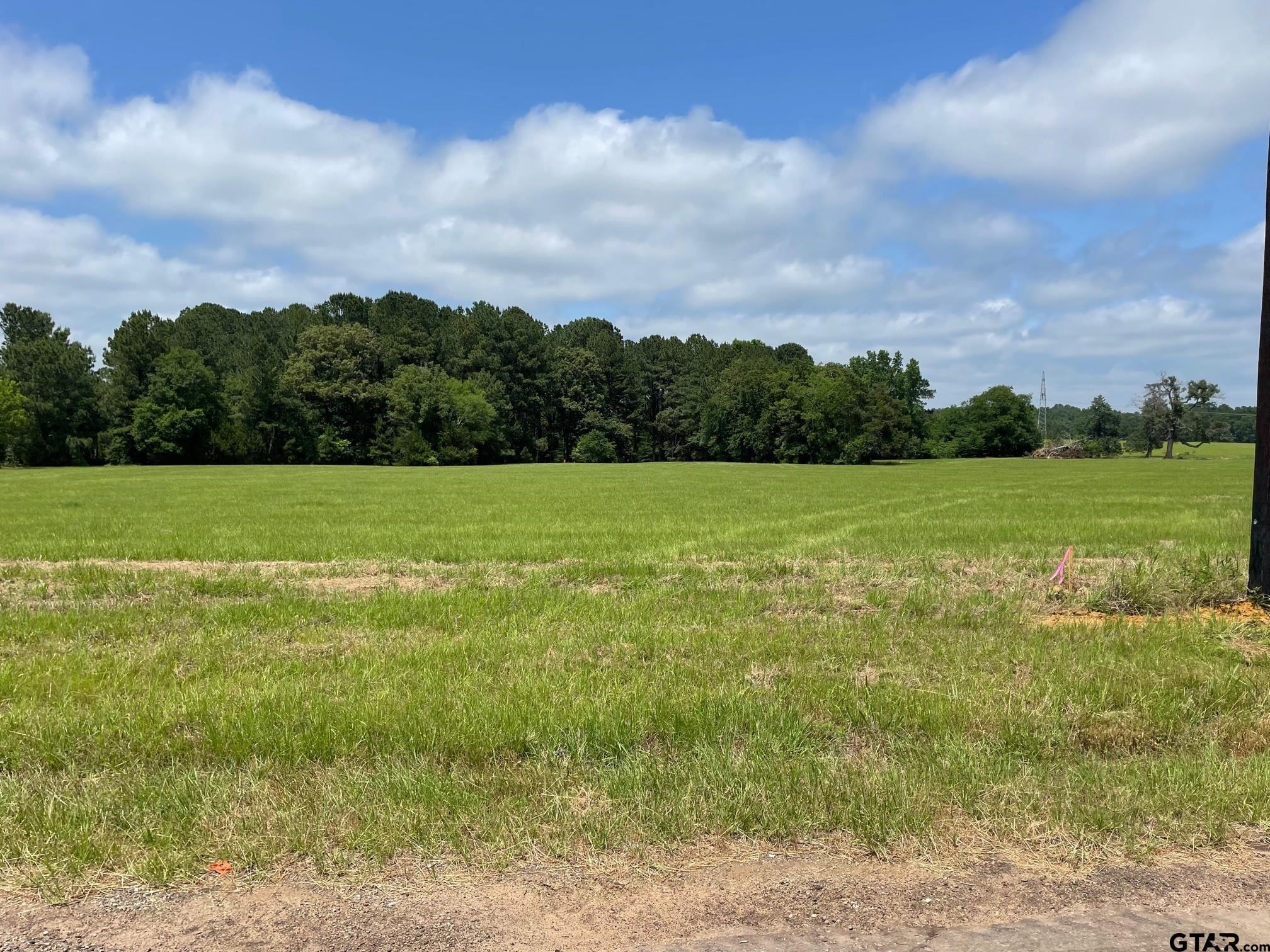 11336 CR 4128 Lot 3A Property Photo 1